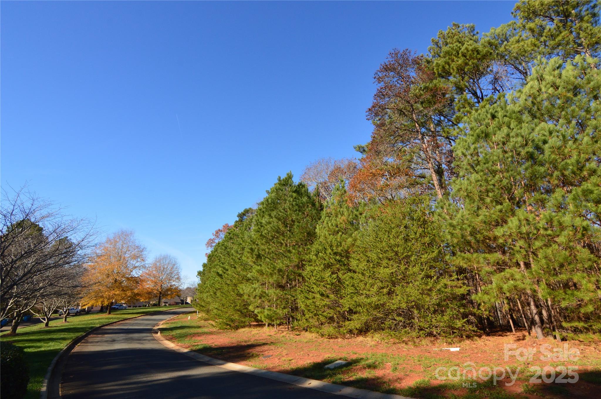 Lot at 3228 Ashwood Park Drive, Belmont, photo 5 of 39
