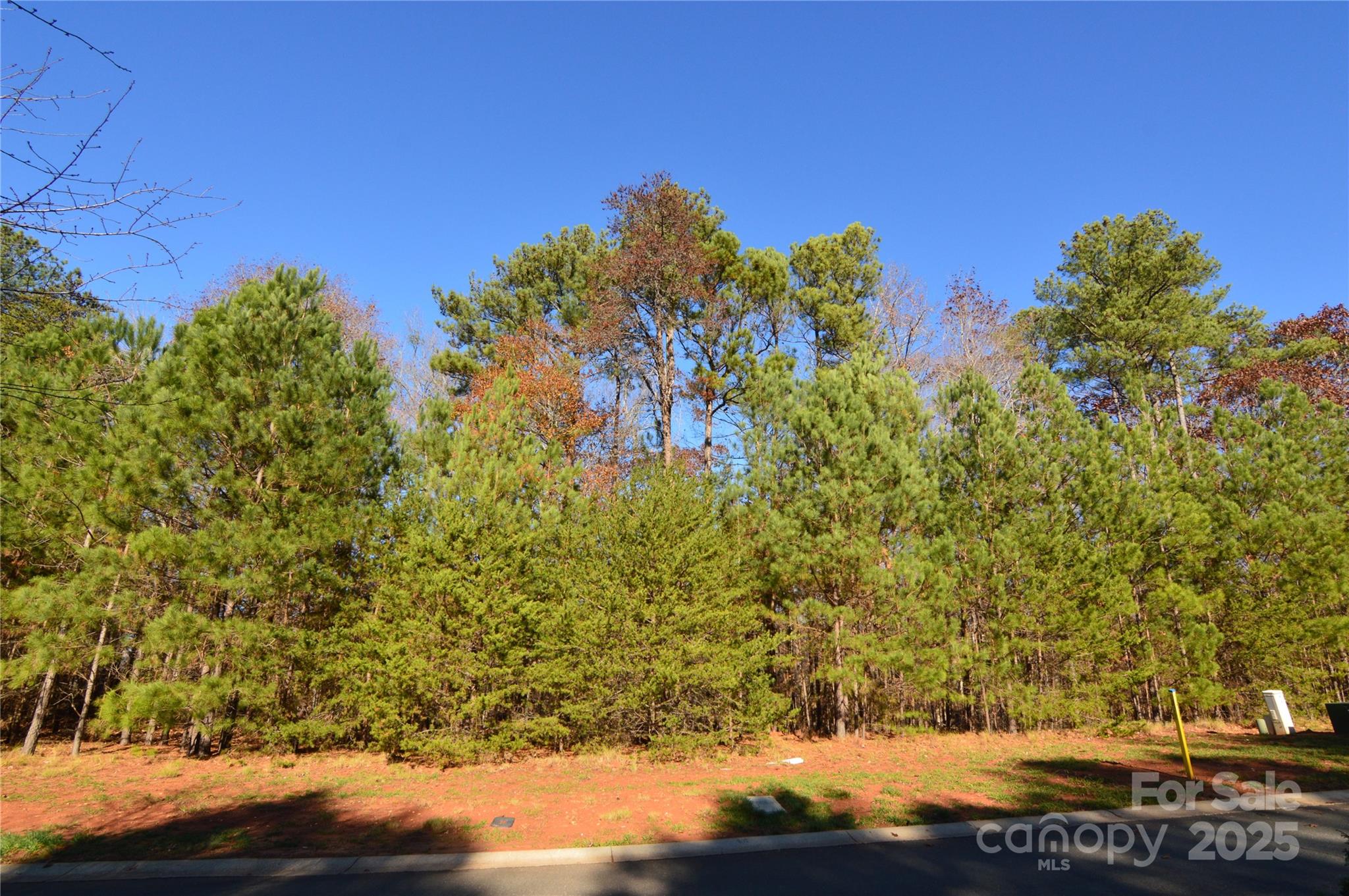Lot at 3228 Ashwood Park Drive, Belmont, photo 6 of 39