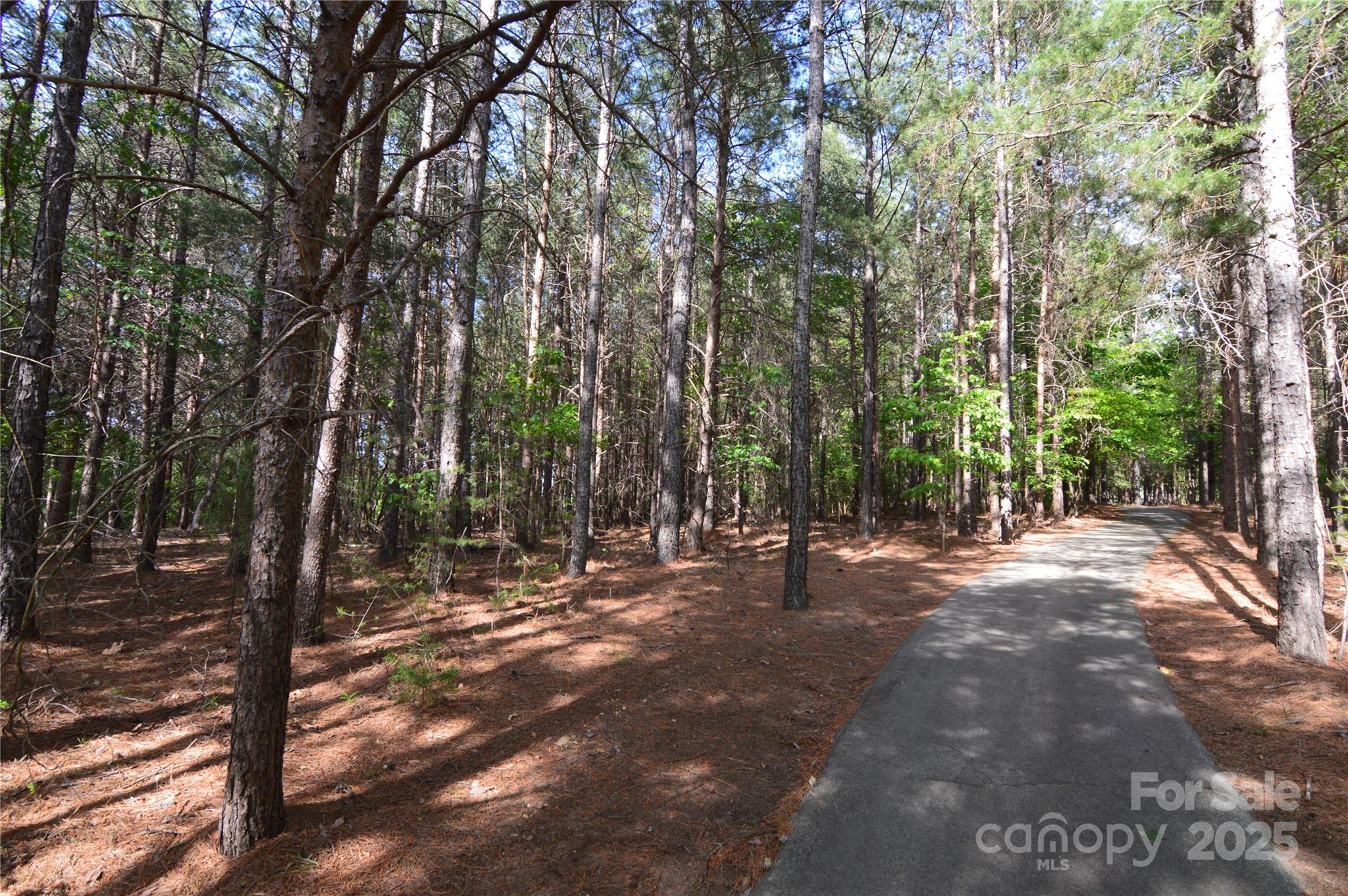 Lot at 3228 Ashwood Park Drive, Belmont, photo 29 of 39