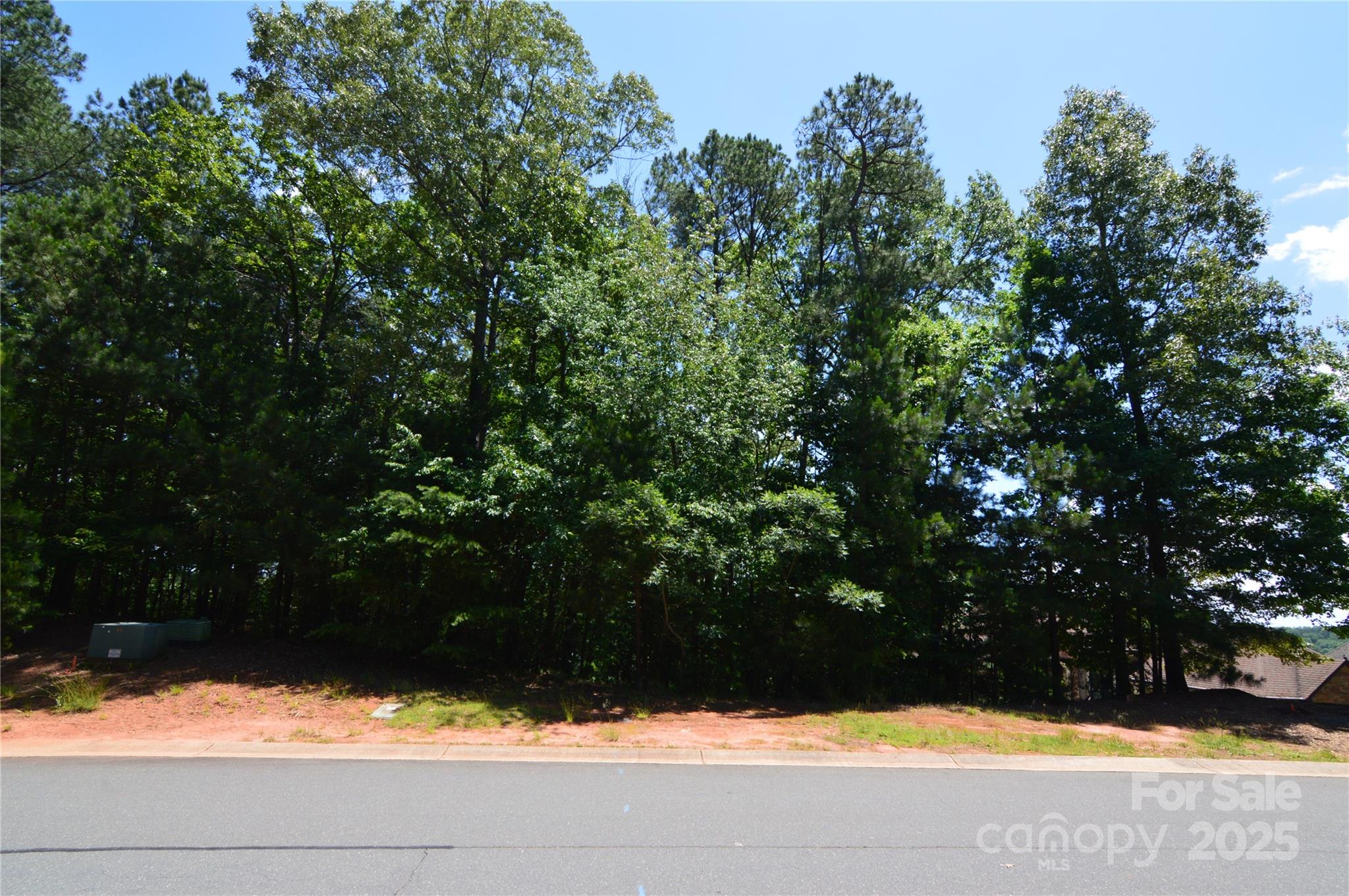 STREET VIEW - 3223 Lake Pointe Drive, Belmont