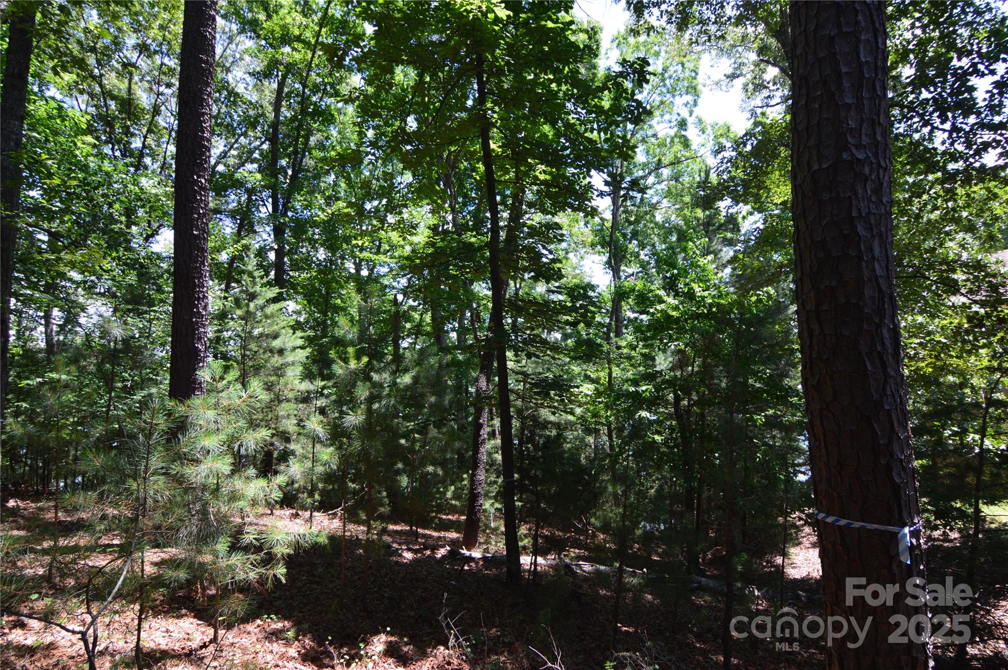 Lot at 3223 Lake Pointe Drive, Belmont, photo 9 of 45