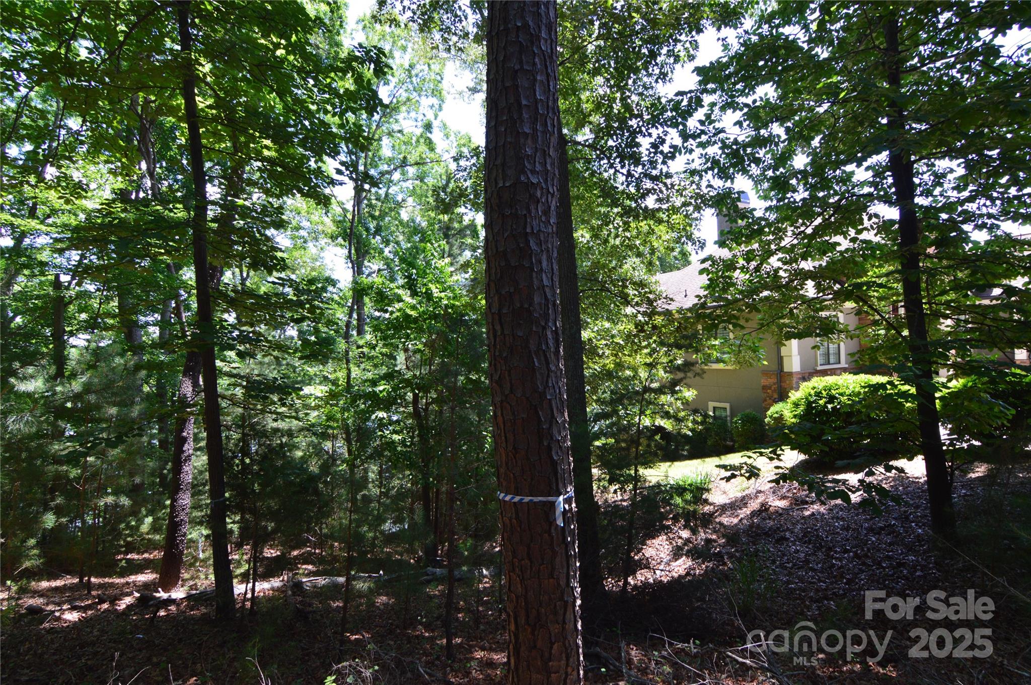 Lot at 3223 Lake Pointe Drive, Belmont, photo 10 of 45