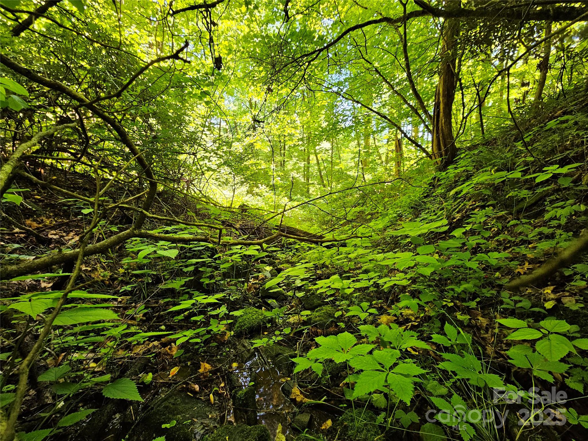 Lot at 00 Owens Road, Waynesville, photo 8 of 16