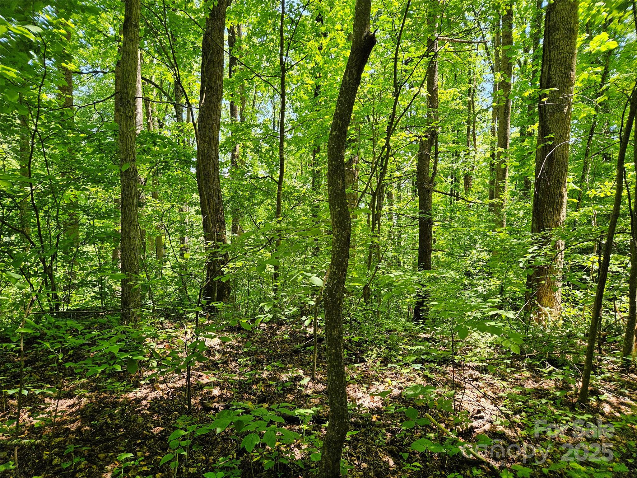 Lot at 00 Owens Road, Waynesville, photo 11 of 16