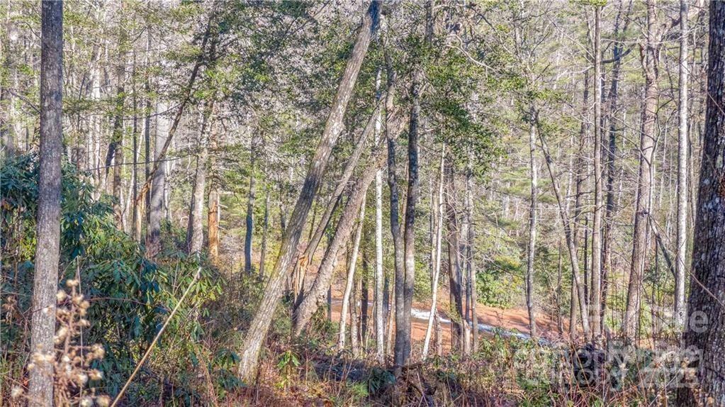 Ample Space for your Next Build - TBD Toxaway Falls Drive, Lake Toxaway