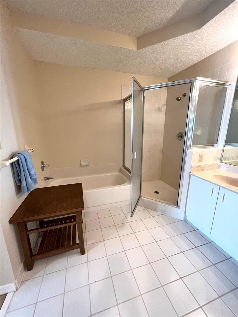 Ensuite primary bathroom. Tile walk on shower, separate tub, double sinks - 104 SURFVIEW DR #2503, PALM COAST