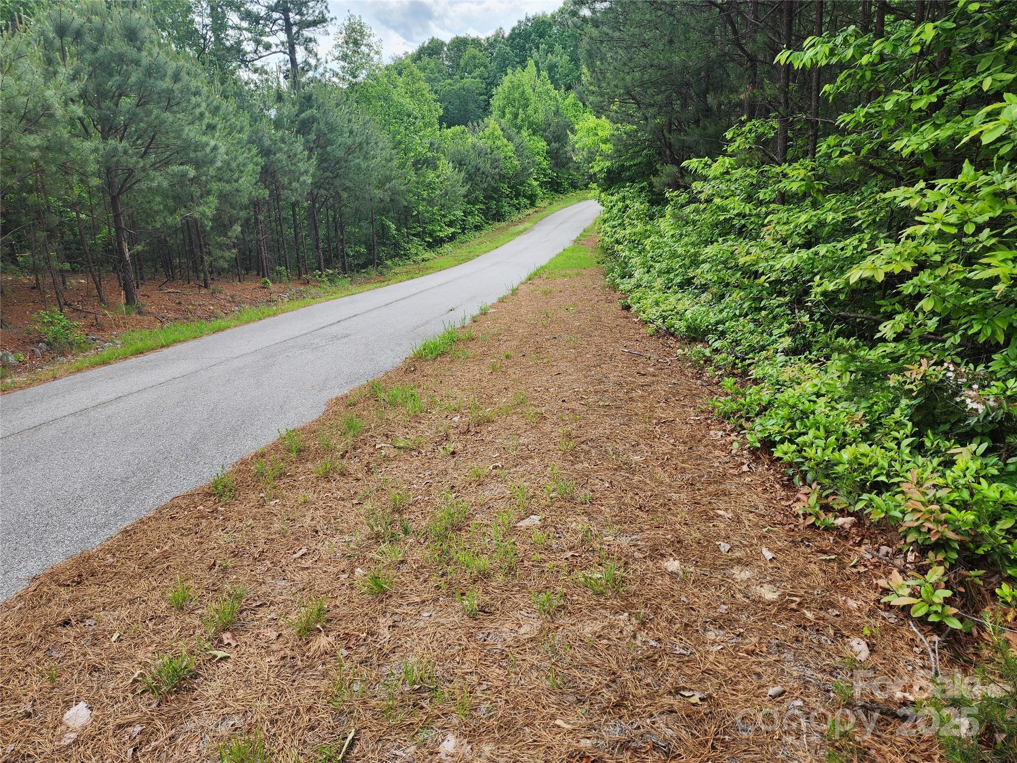 Lot at TBD Derby Chase Court, McGrady, photo 2 of 16
