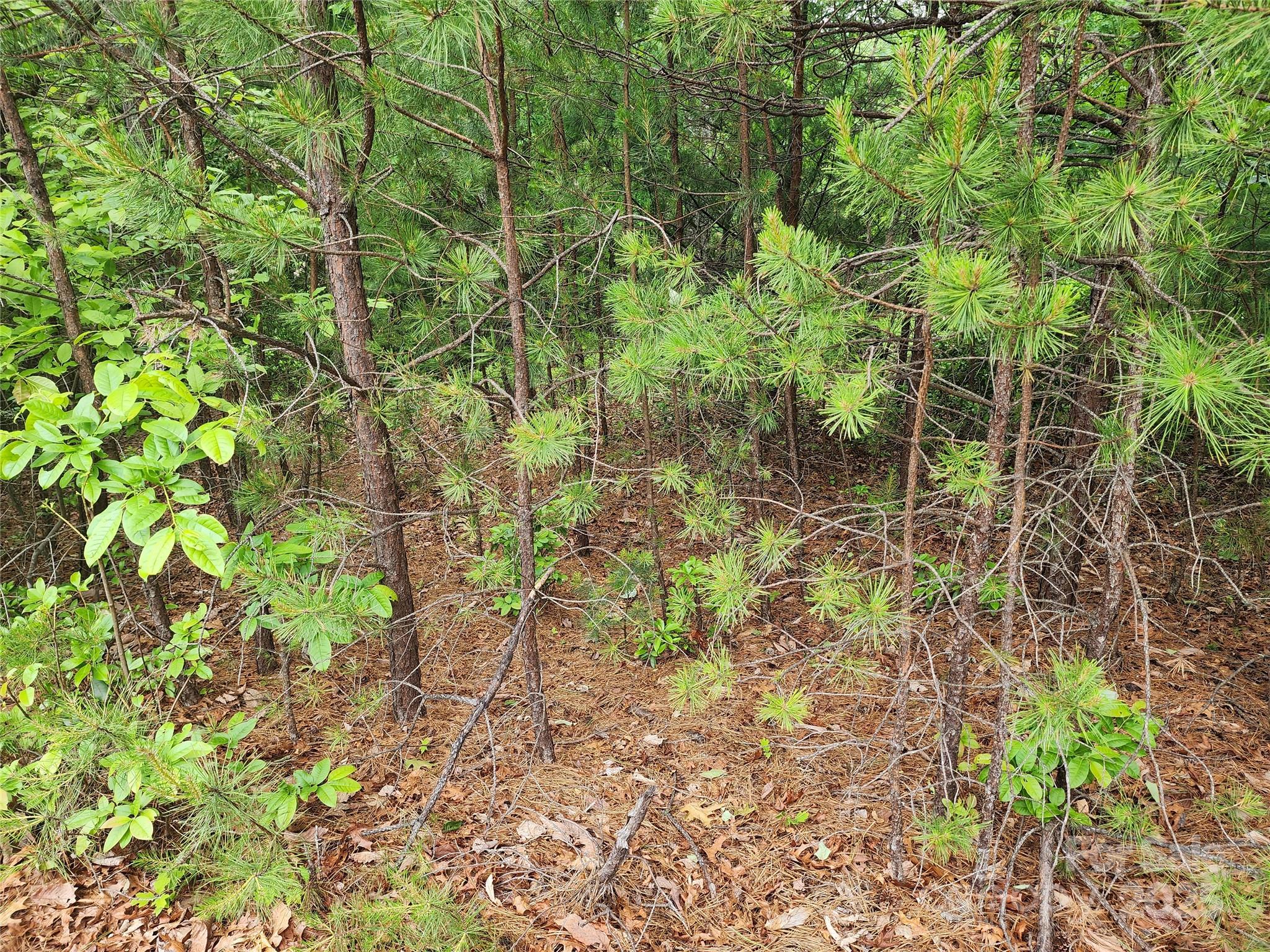 Lot at TBD Derby Chase Court, McGrady, photo 7 of 16
