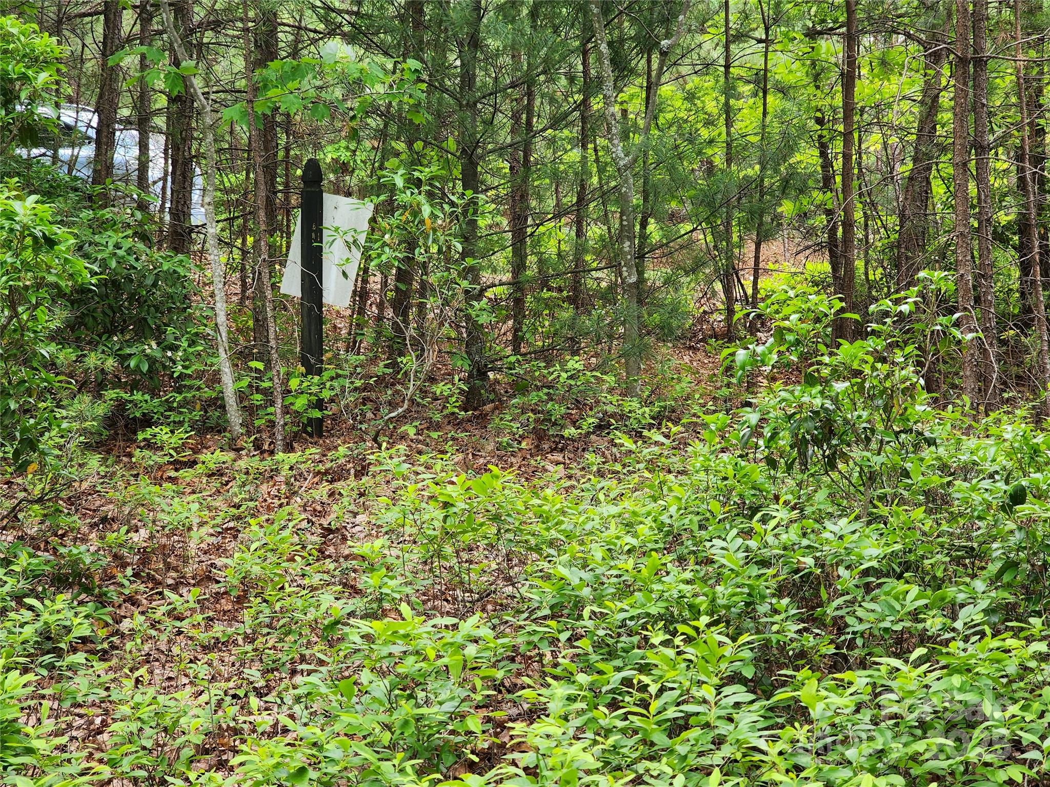 Lot at TBD Derby Chase Court, McGrady, photo 11 of 16