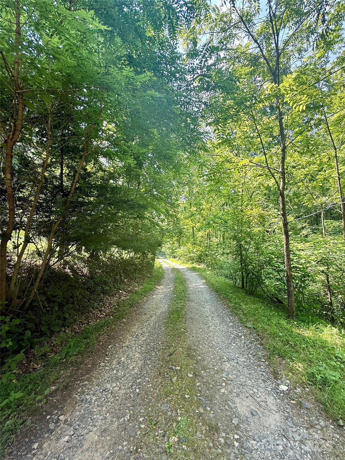 Gravel road in good condition - 700 Wooded Mountain Trail, Mars Hill