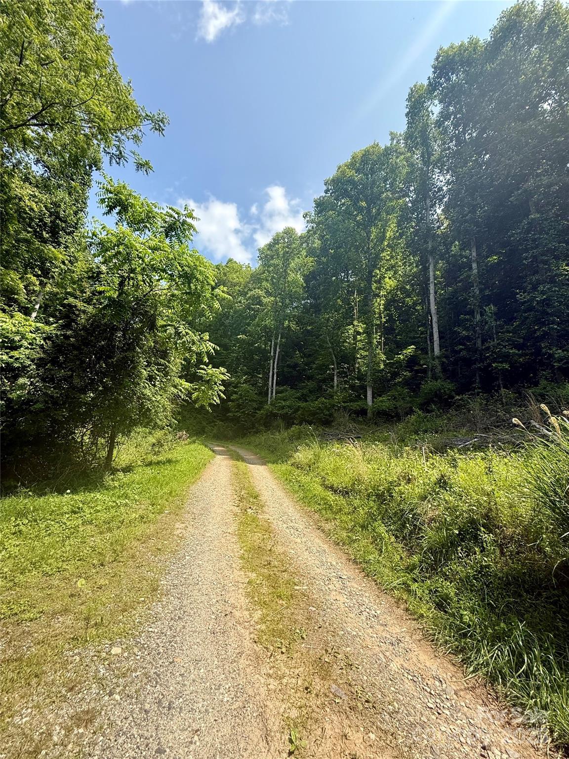 Gravel road is not steep - 700 Wooded Mountain Trail, Mars Hill
