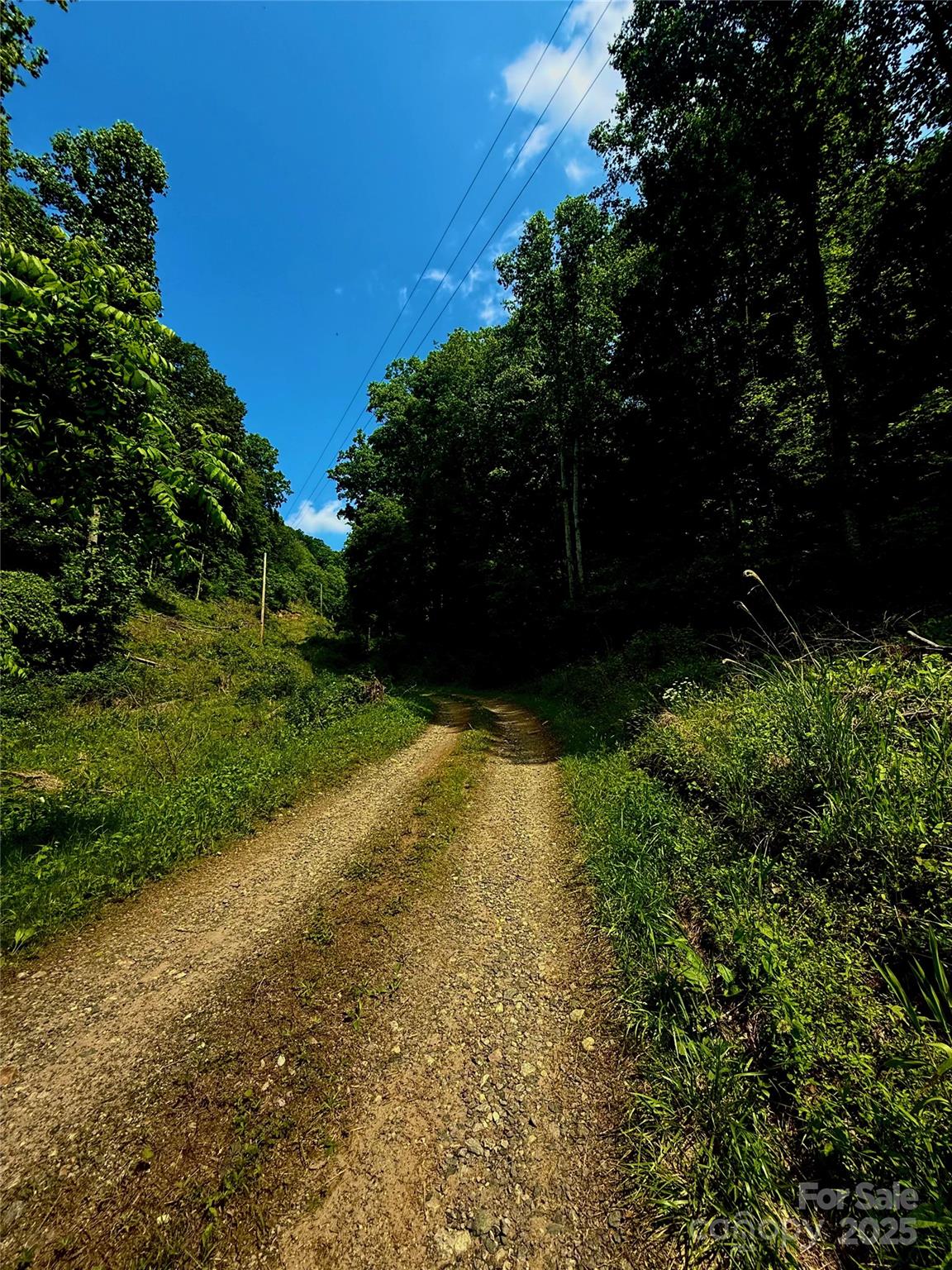 Acreage at 700 Wooded Mountain Trail, Mars Hill, photo 7 of 13