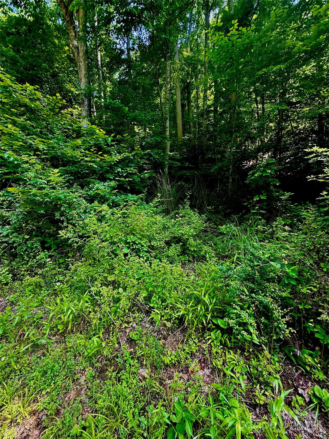 Acreage at 700 Wooded Mountain Trail, Mars Hill, photo 10 of 13