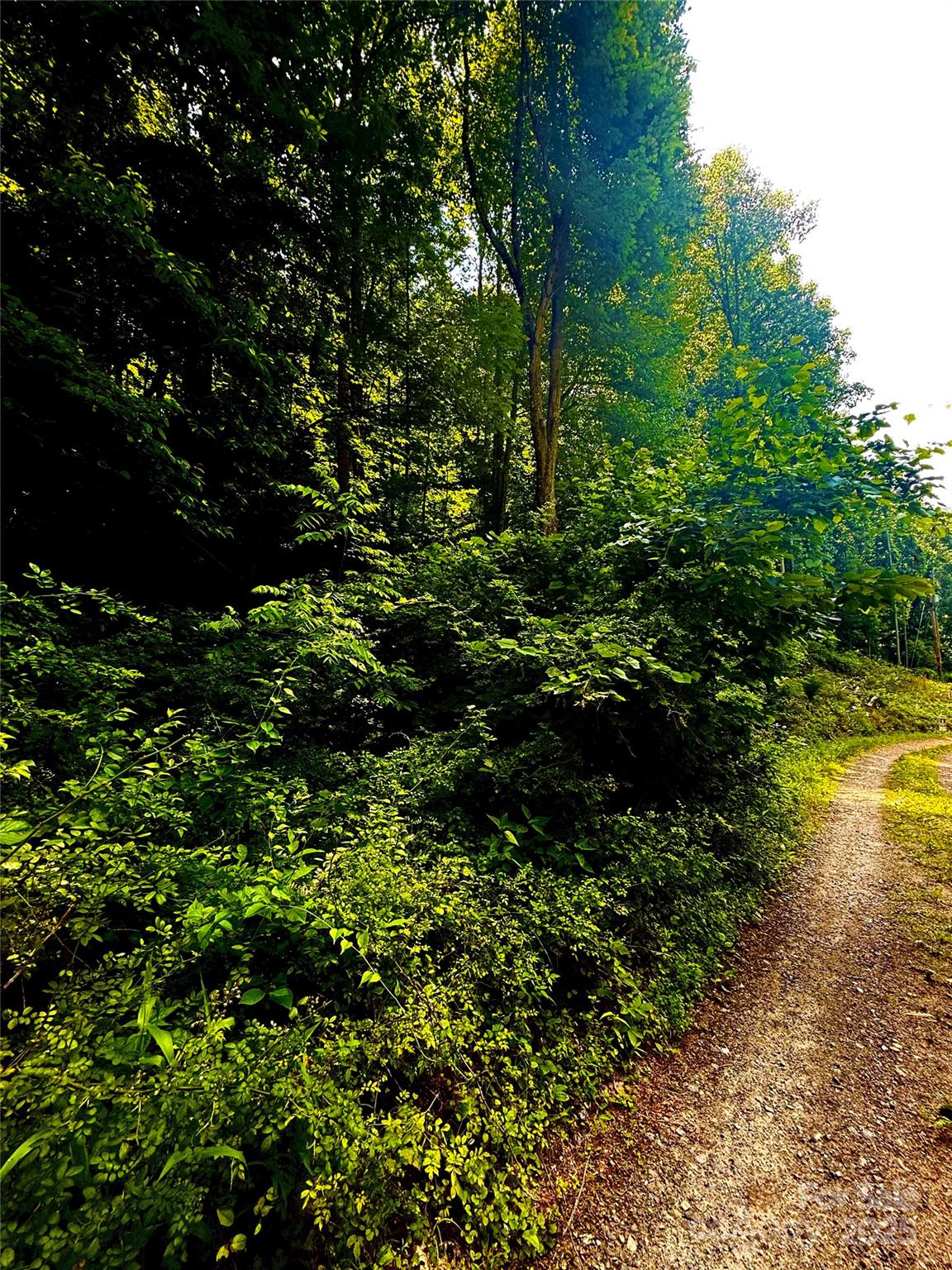 Acreage at 700 Wooded Mountain Trail, Mars Hill, photo 12 of 13