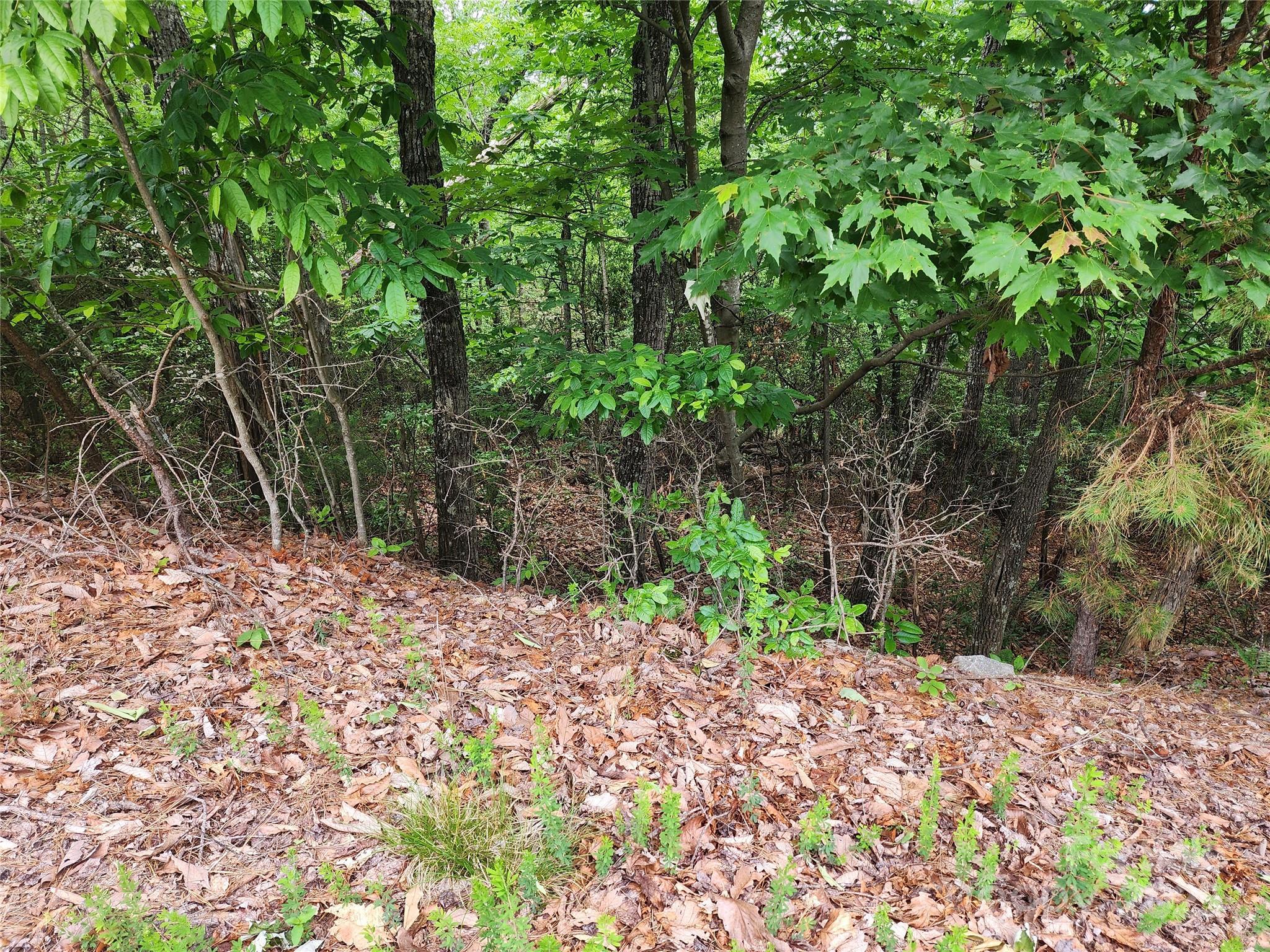 Lot at TBD Derby Chase Court, McGrady, photo 4 of 16