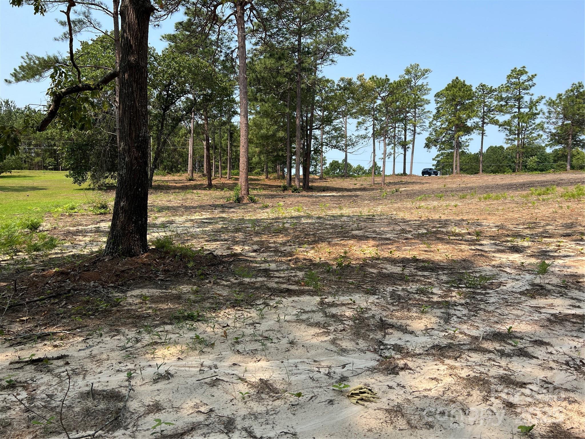 Lot at 0 Ruby Road, Hartsville, photo 3 of 24