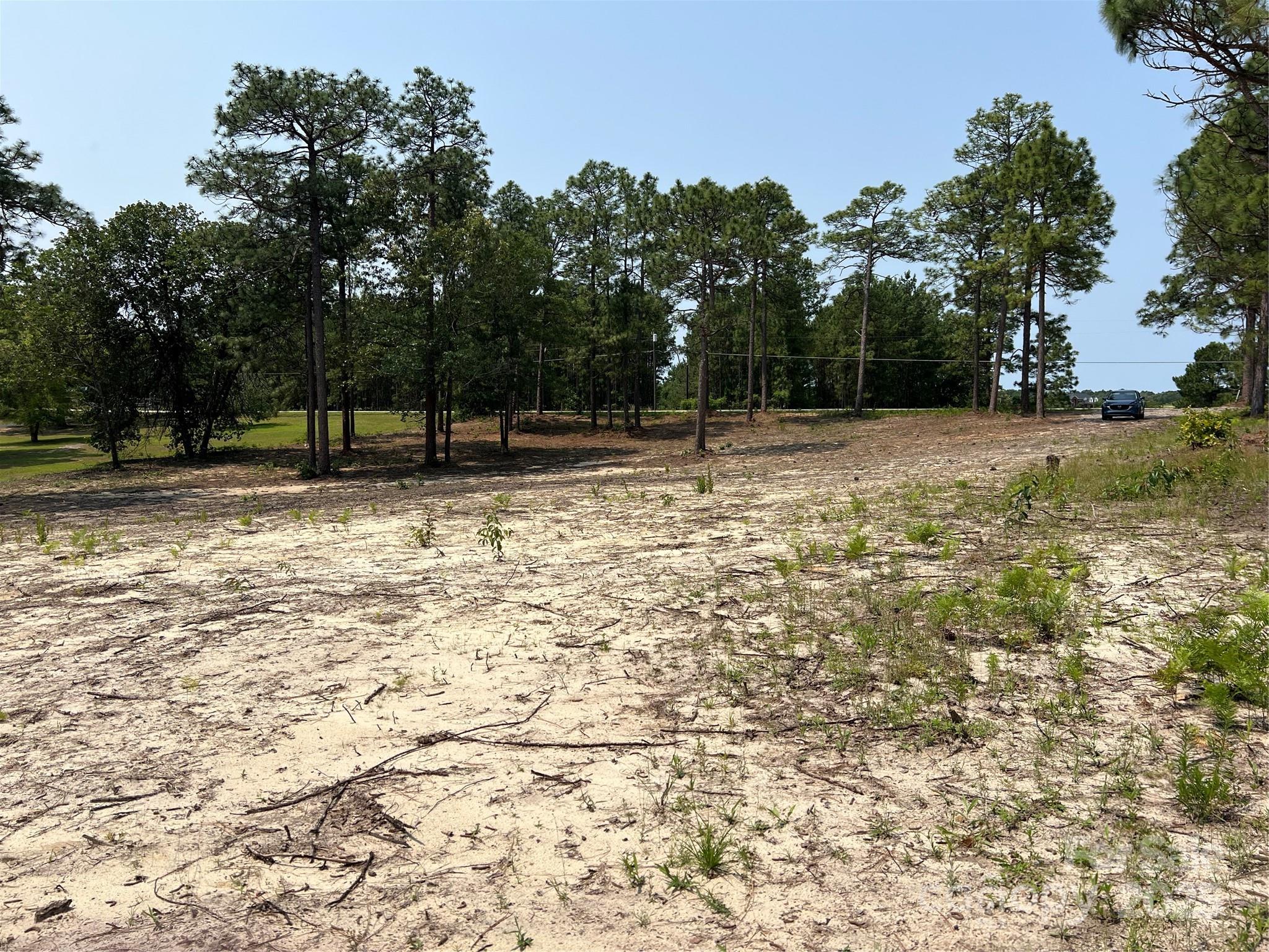 Lot at 0 Ruby Road, Hartsville, photo 4 of 24