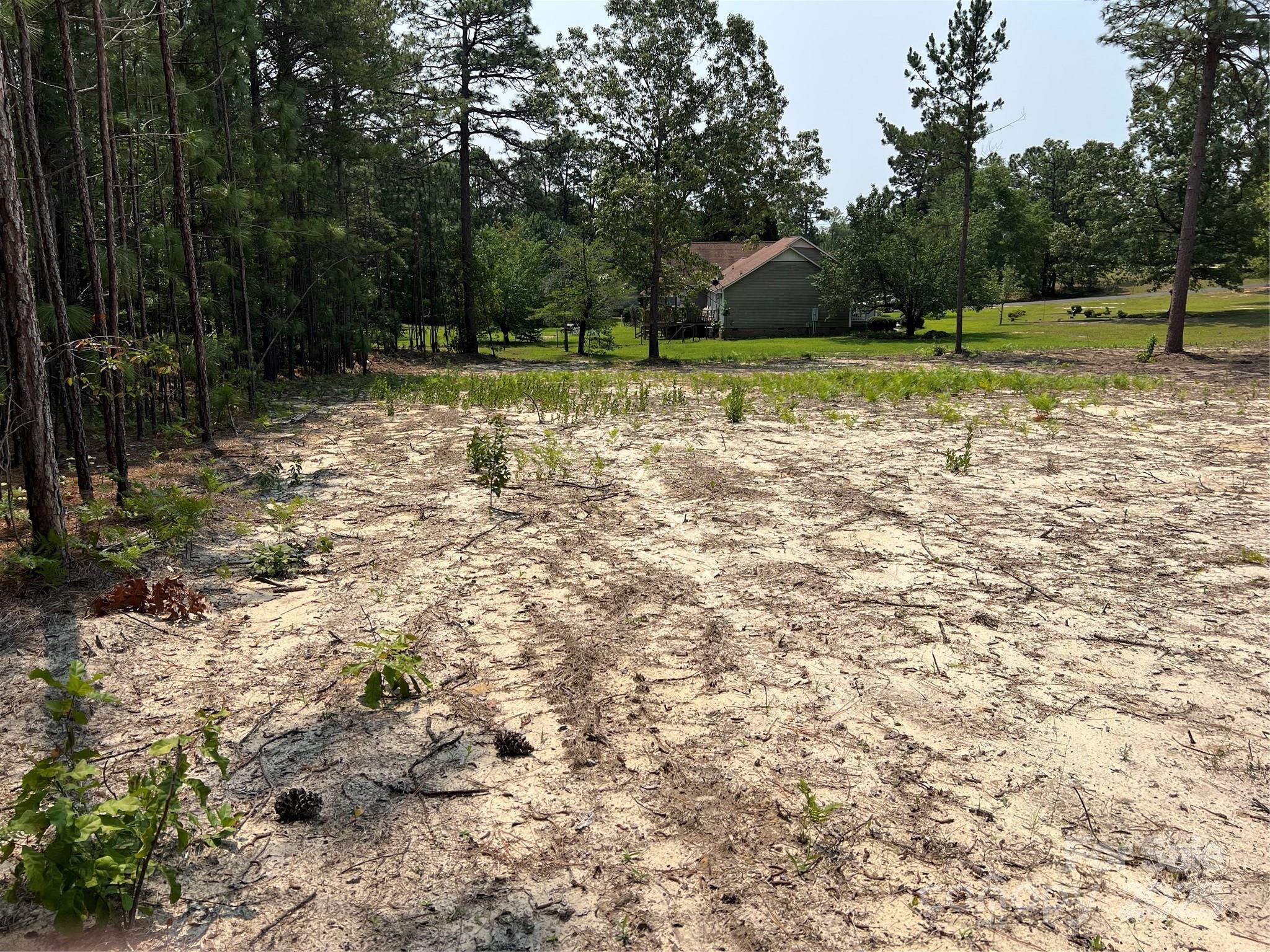 Lot at 0 Ruby Road, Hartsville, photo 5 of 24