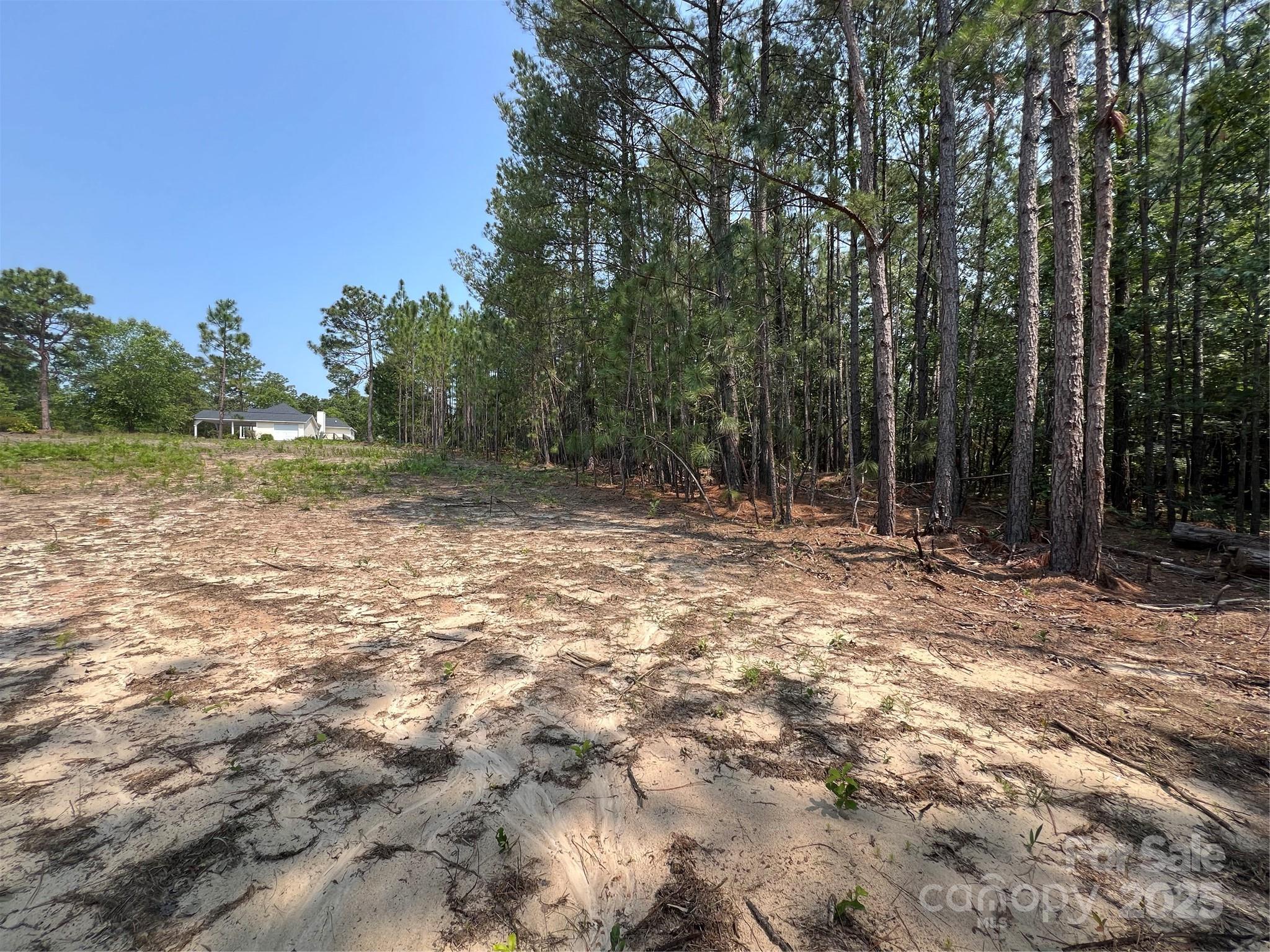 Lot at 0 Ruby Road, Hartsville, photo 6 of 24
