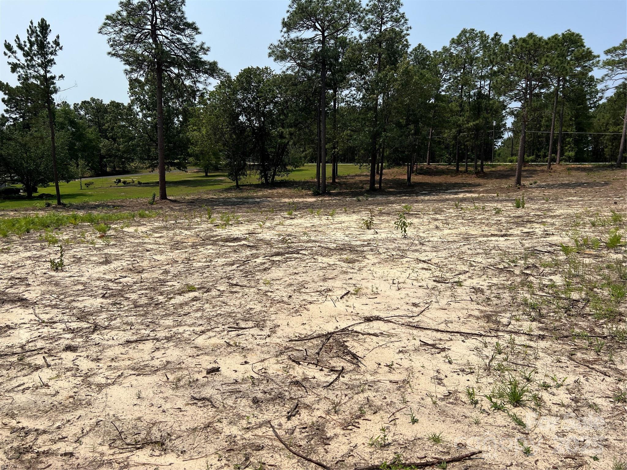 Lot at 0 Ruby Road, Hartsville, photo 7 of 24
