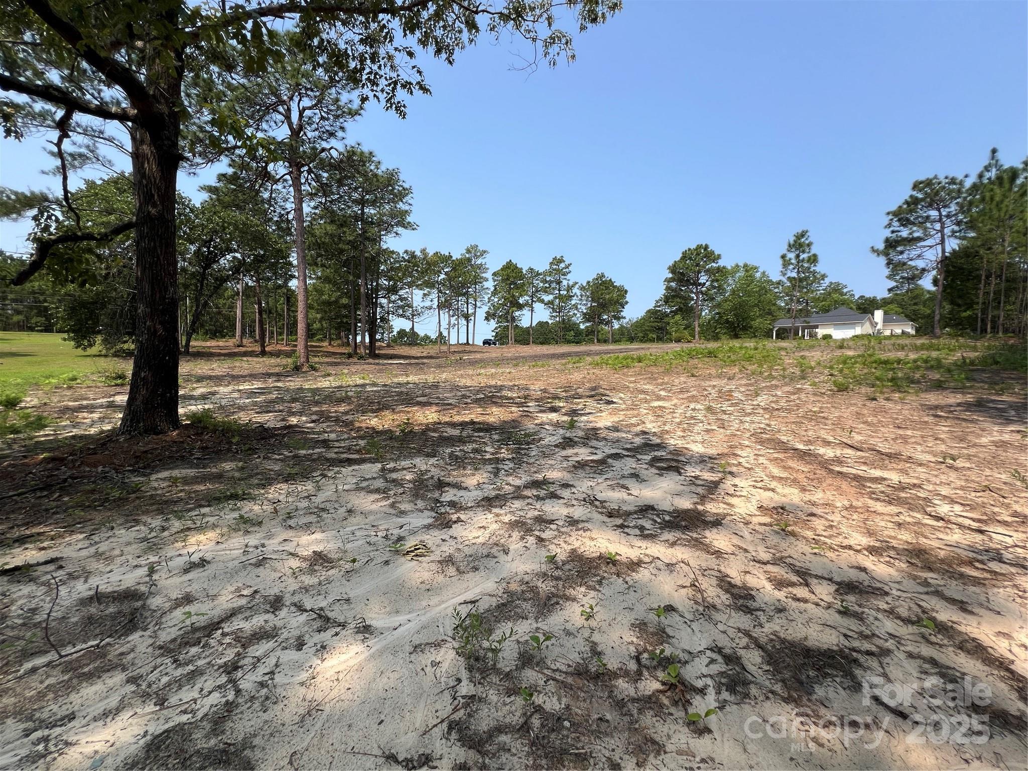 Lot at 0 Ruby Road, Hartsville, photo 8 of 24