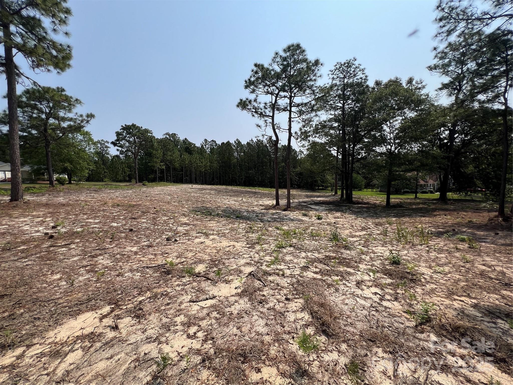 Lot at 0 Ruby Road, Hartsville, photo 10 of 24