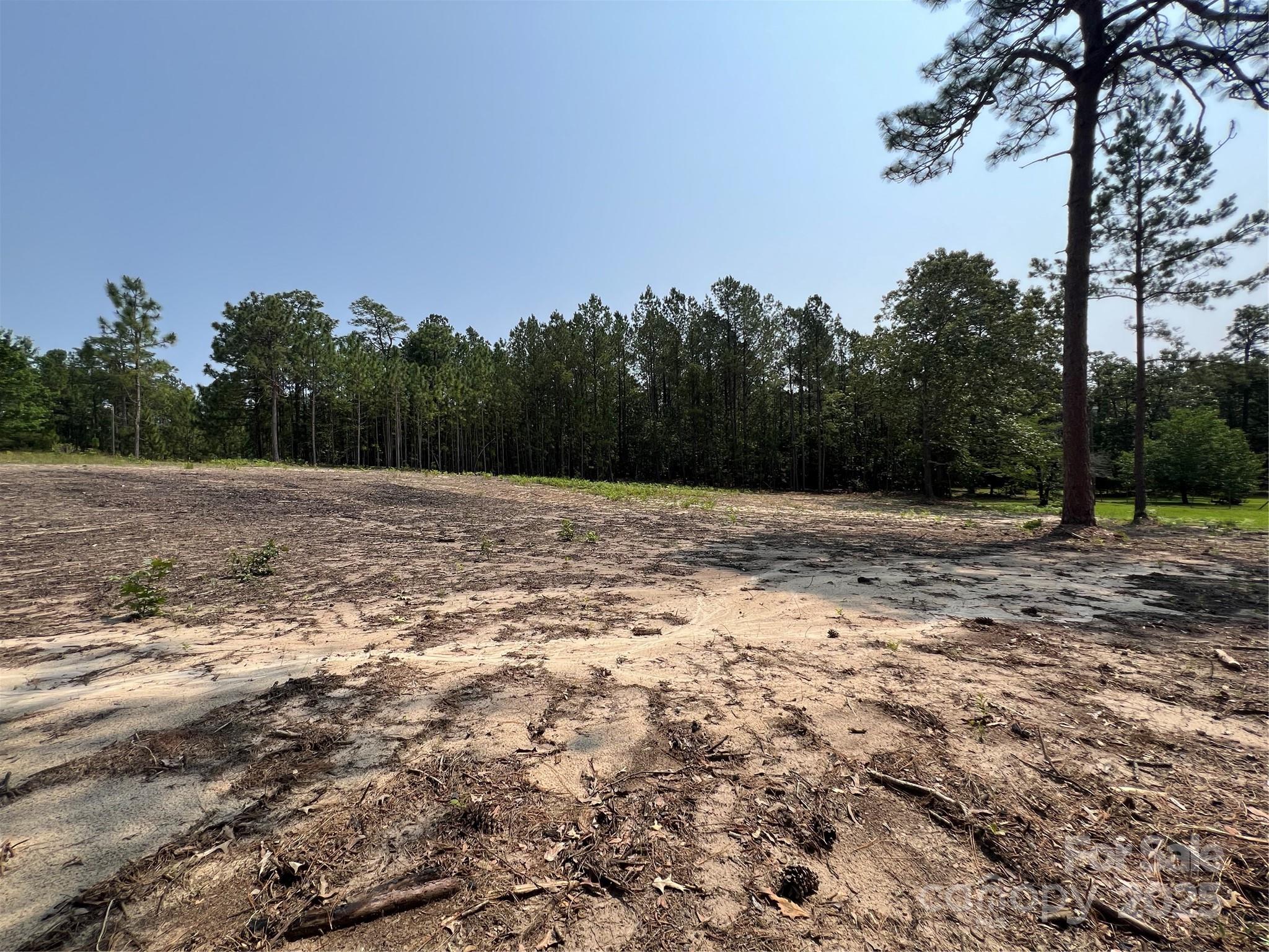 Lot at 0 Ruby Road, Hartsville, photo 12 of 24