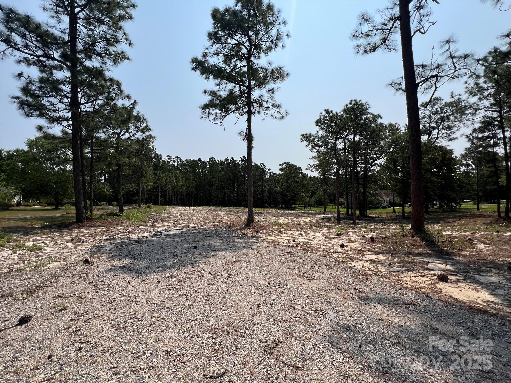 Lot at 0 Ruby Road, Hartsville, photo 13 of 24