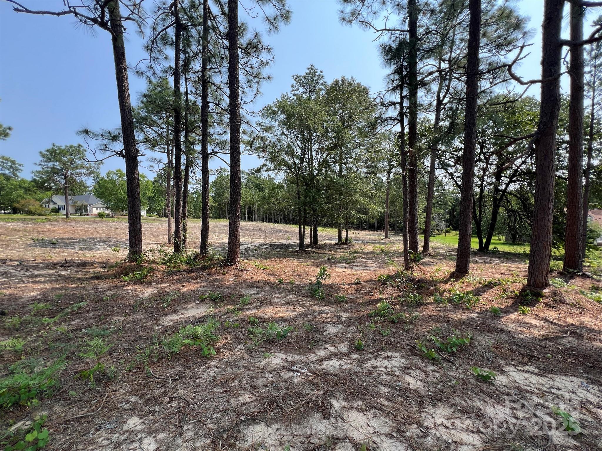 Lot at 0 Ruby Road, Hartsville, photo 14 of 24