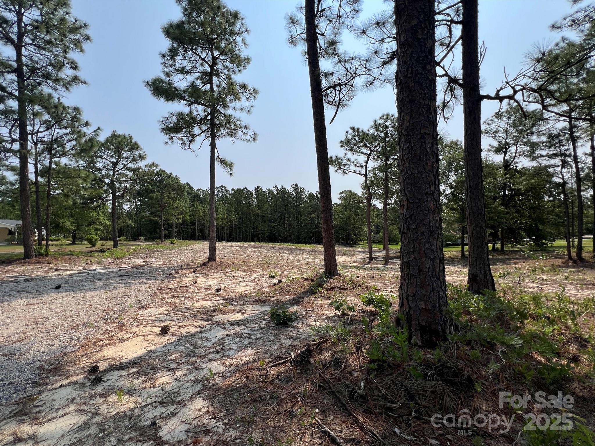 Lot at 0 Ruby Road, Hartsville, photo 17 of 24