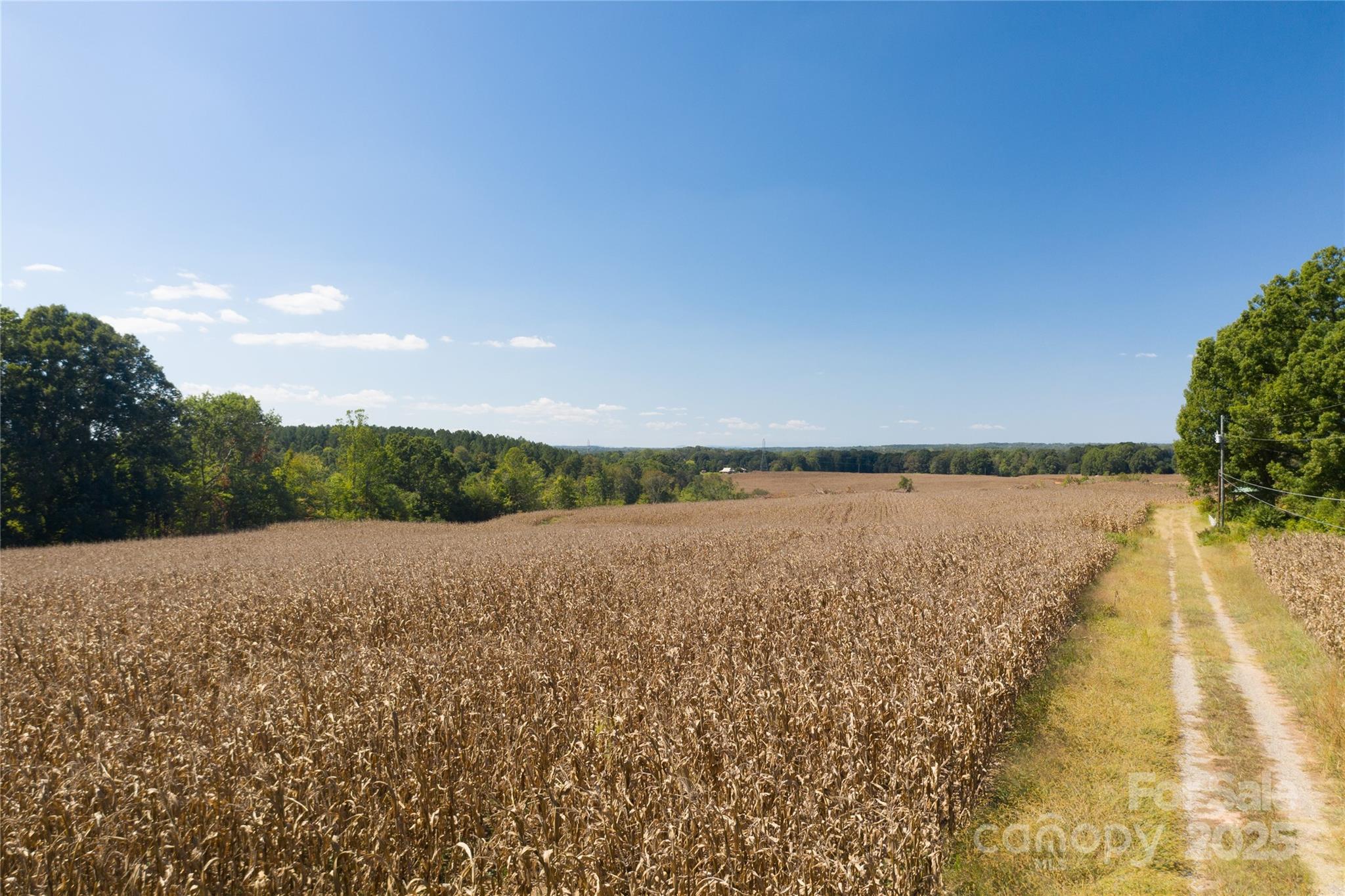 Acreage at 0 Carriage Road, Statesville, photo 5 of 12