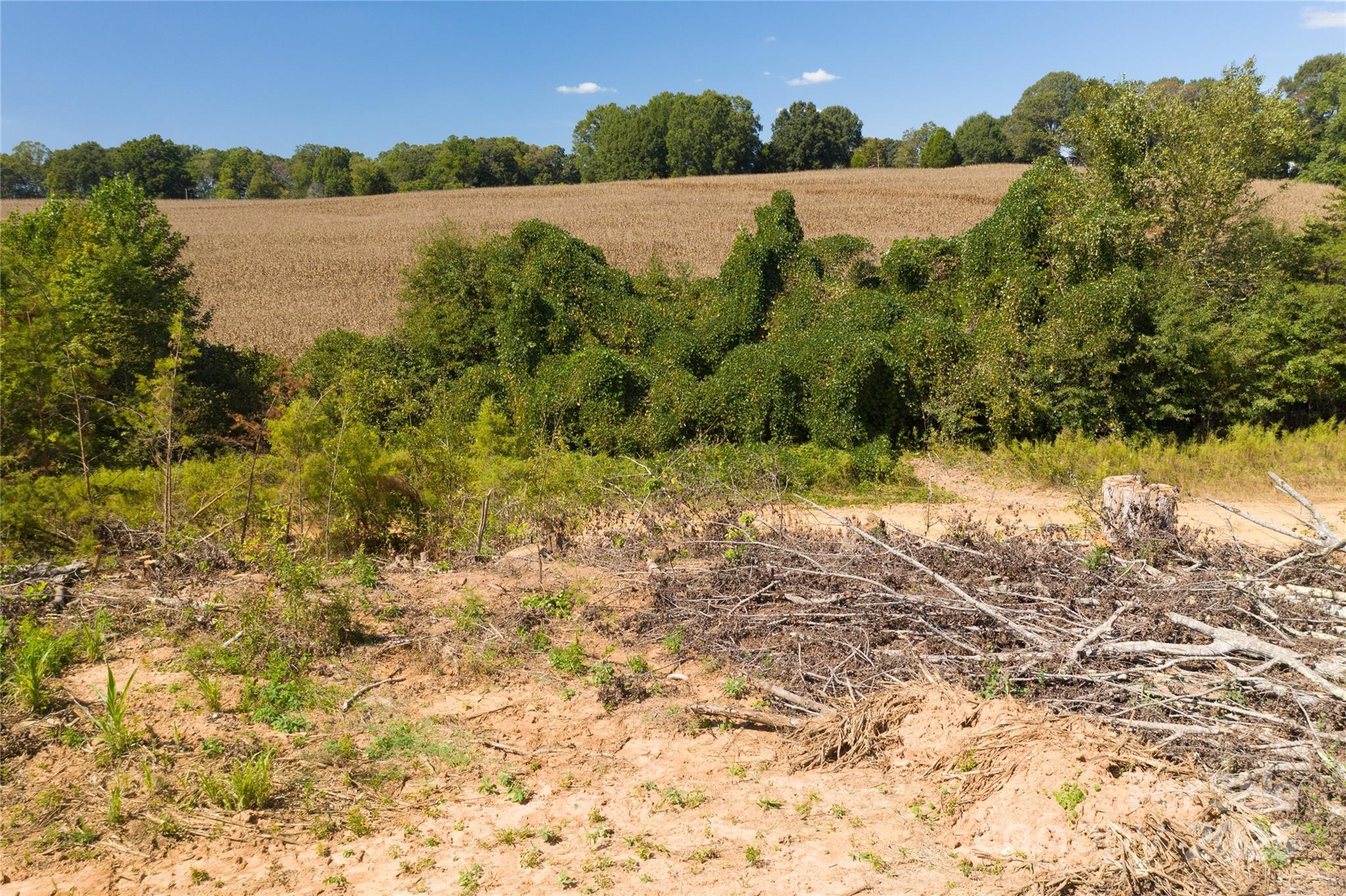 Acreage at 0 Carriage Road, Statesville, photo 6 of 12
