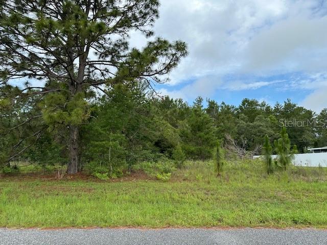 Lot 6 SW 48 COURT ROAD