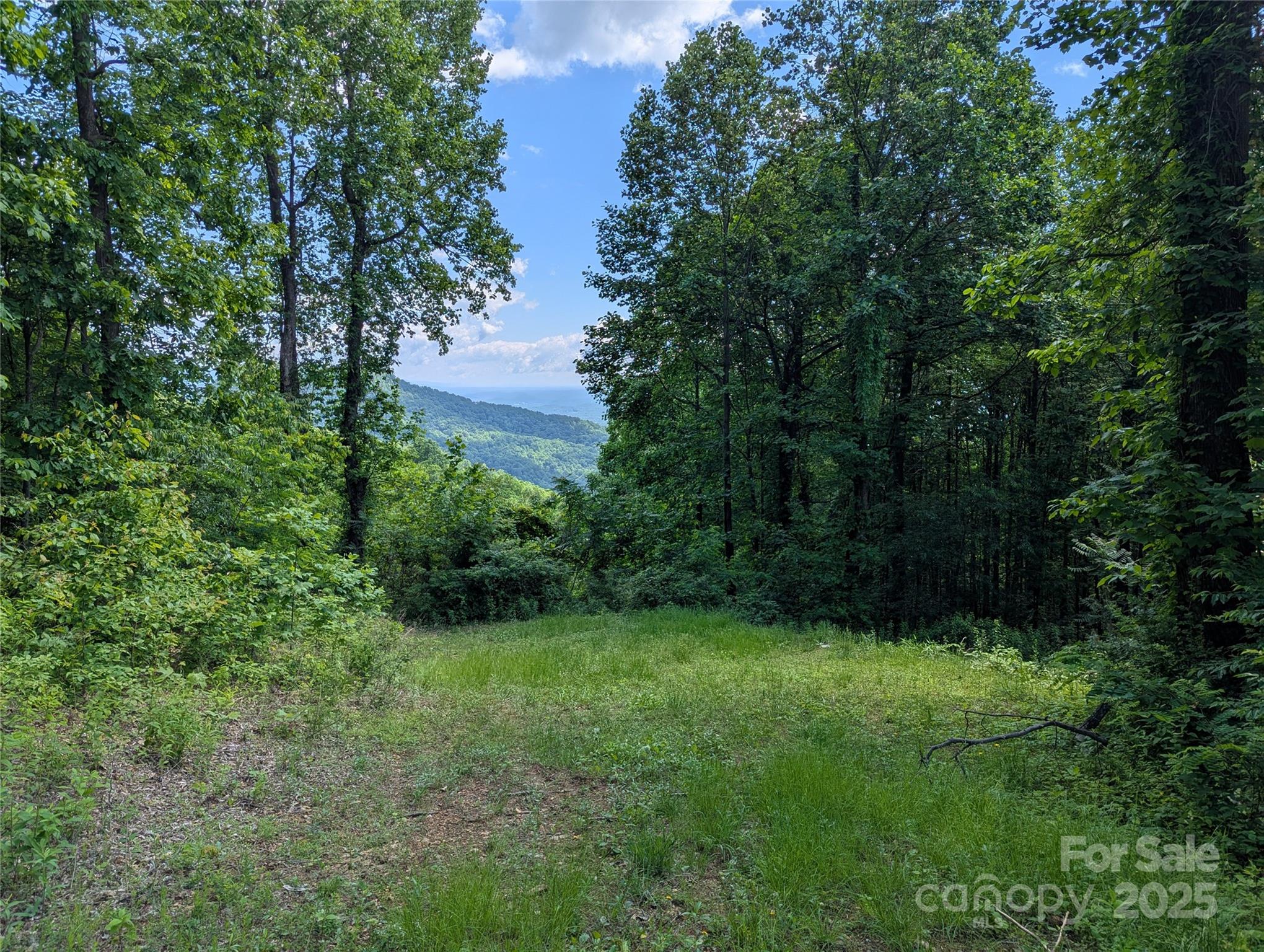 Lot at 67 Creston Drive, Black Mountain, photo 7 of 16