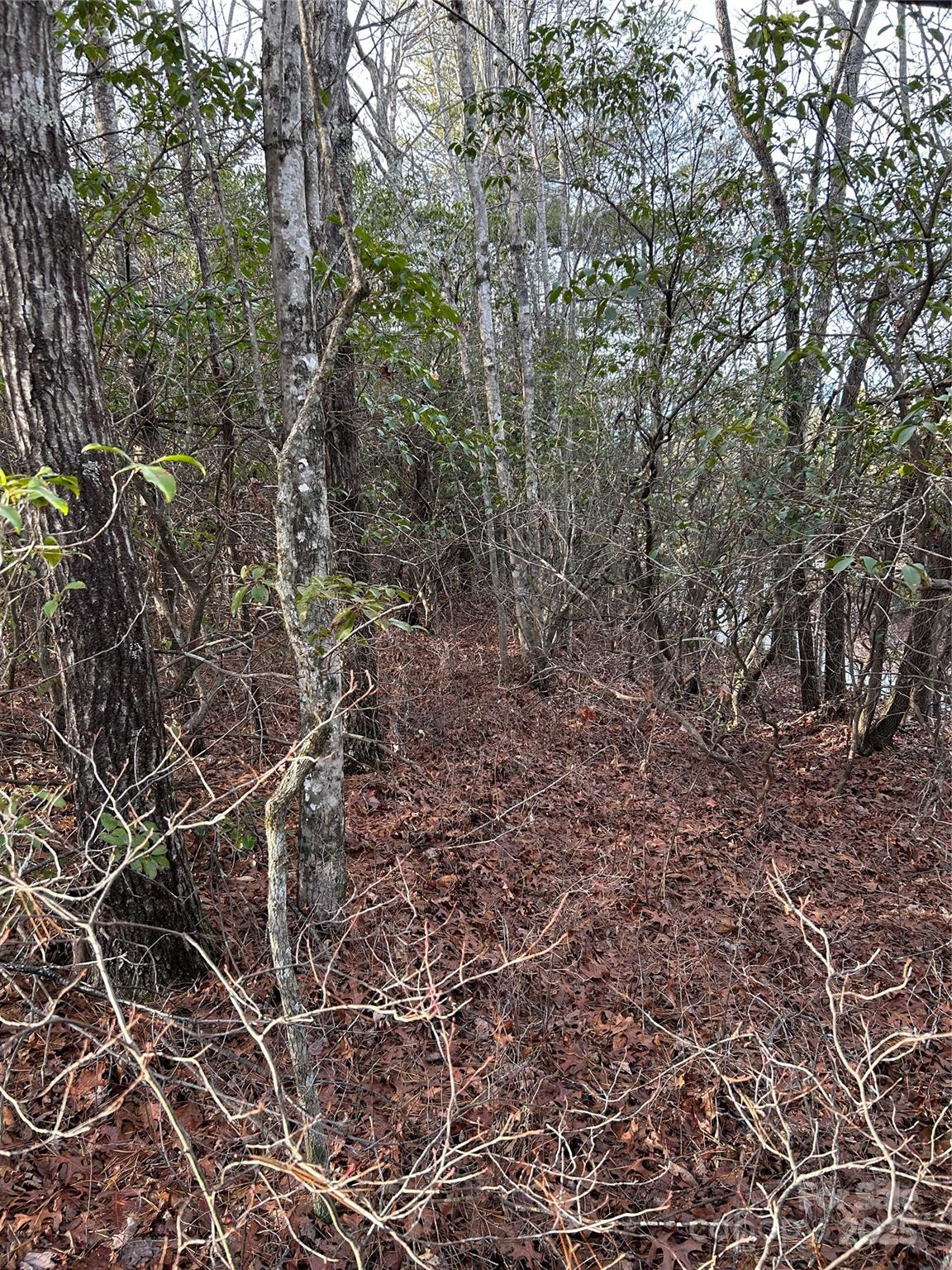 Acreage at 00 Howell Road, Brevard, photo 2 of 23