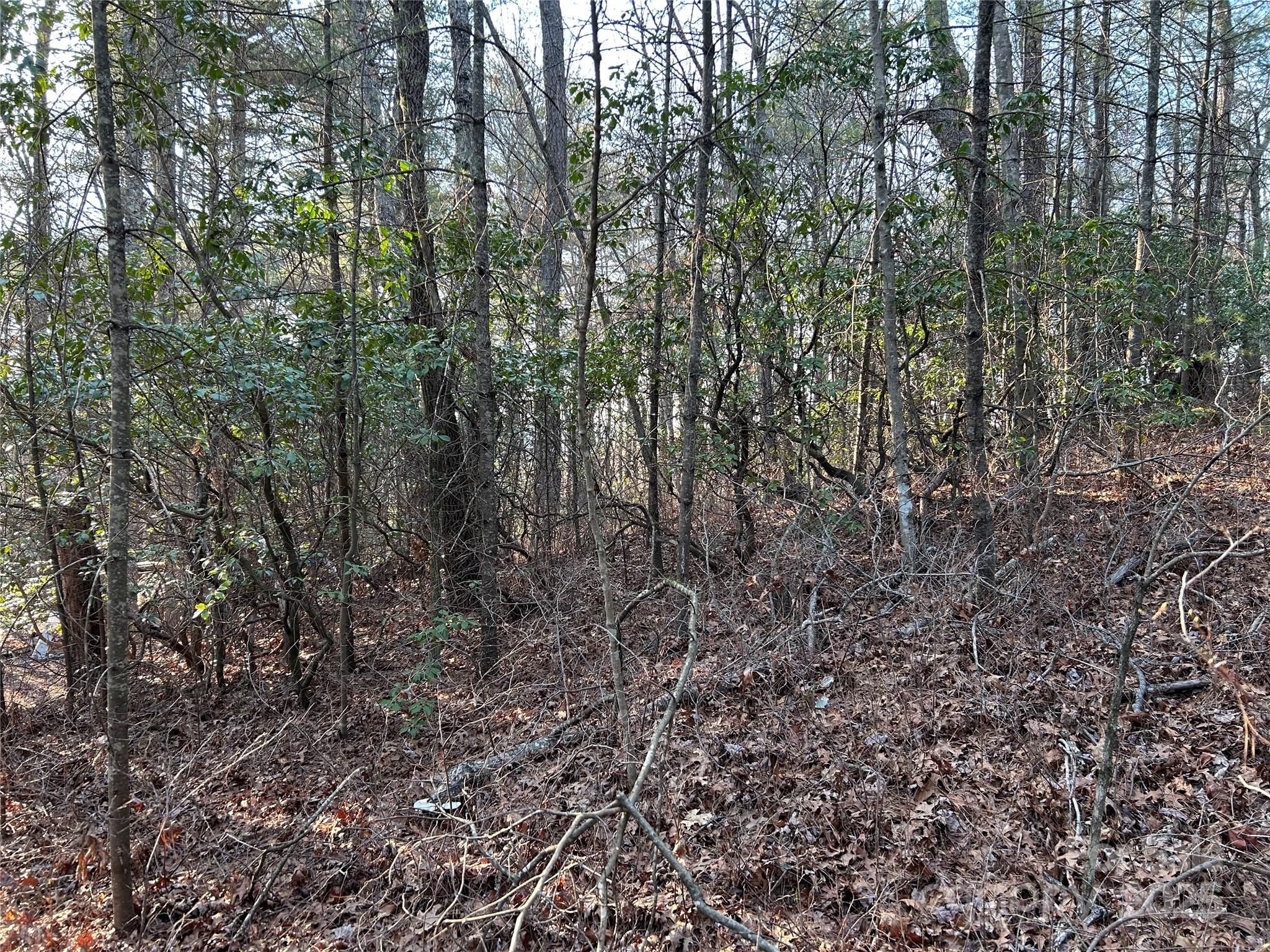 Acreage at 00 Howell Road, Brevard, photo 3 of 23