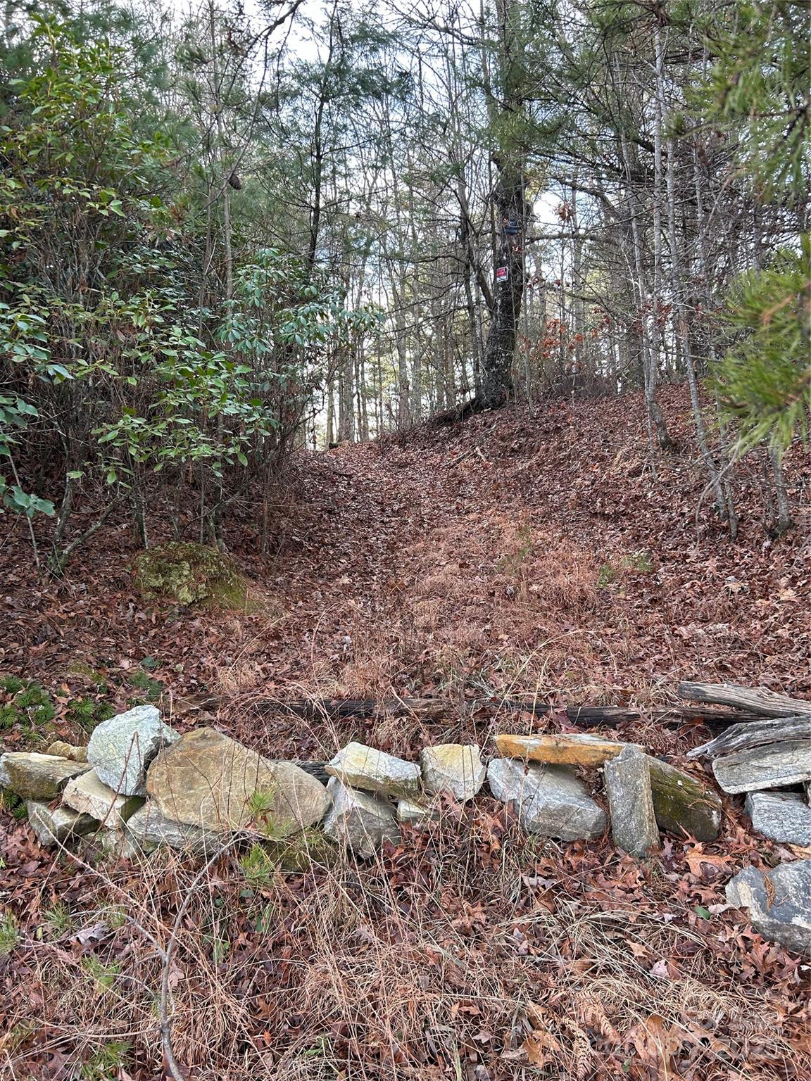 Acreage at 00 Howell Road, Brevard, photo 4 of 23