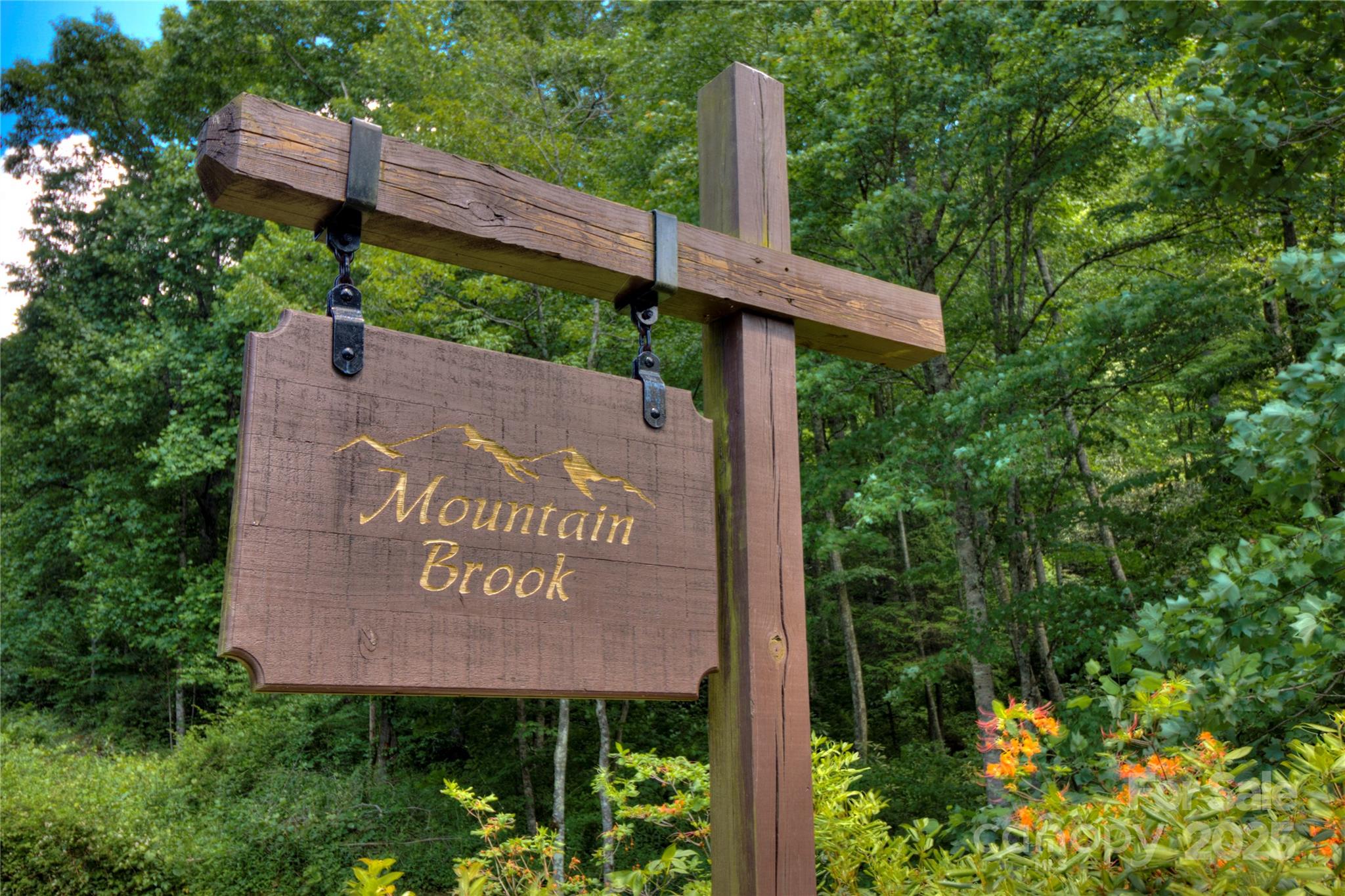 Lot at 000 Golden Trout Drive, Spruce Pine, photo 2 of 12