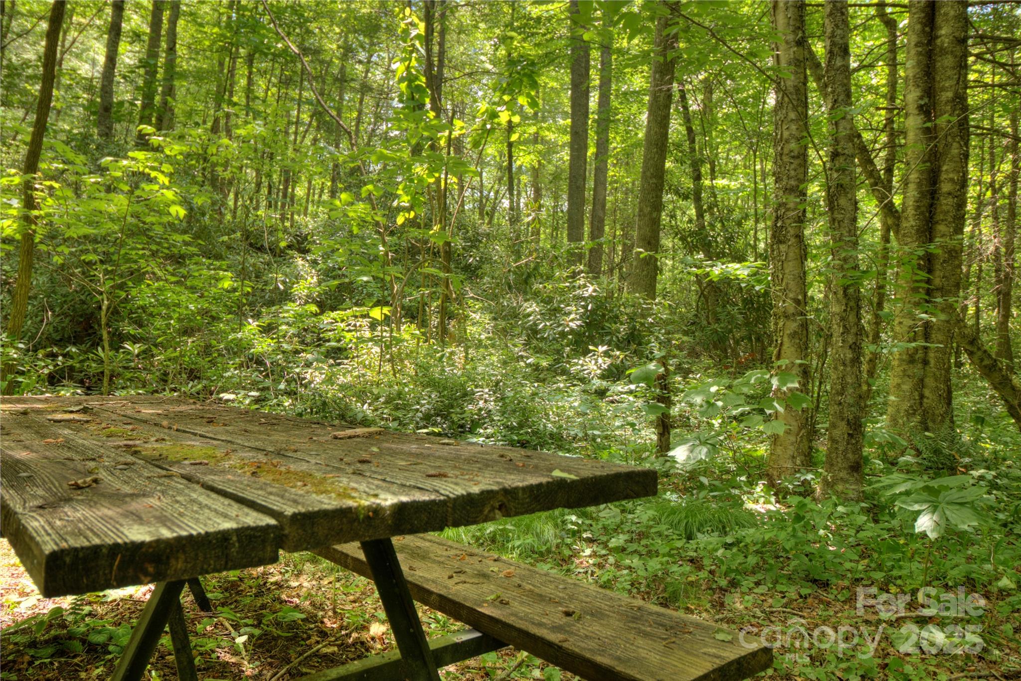Lot at 000 Golden Trout Drive, Spruce Pine, photo 8 of 12