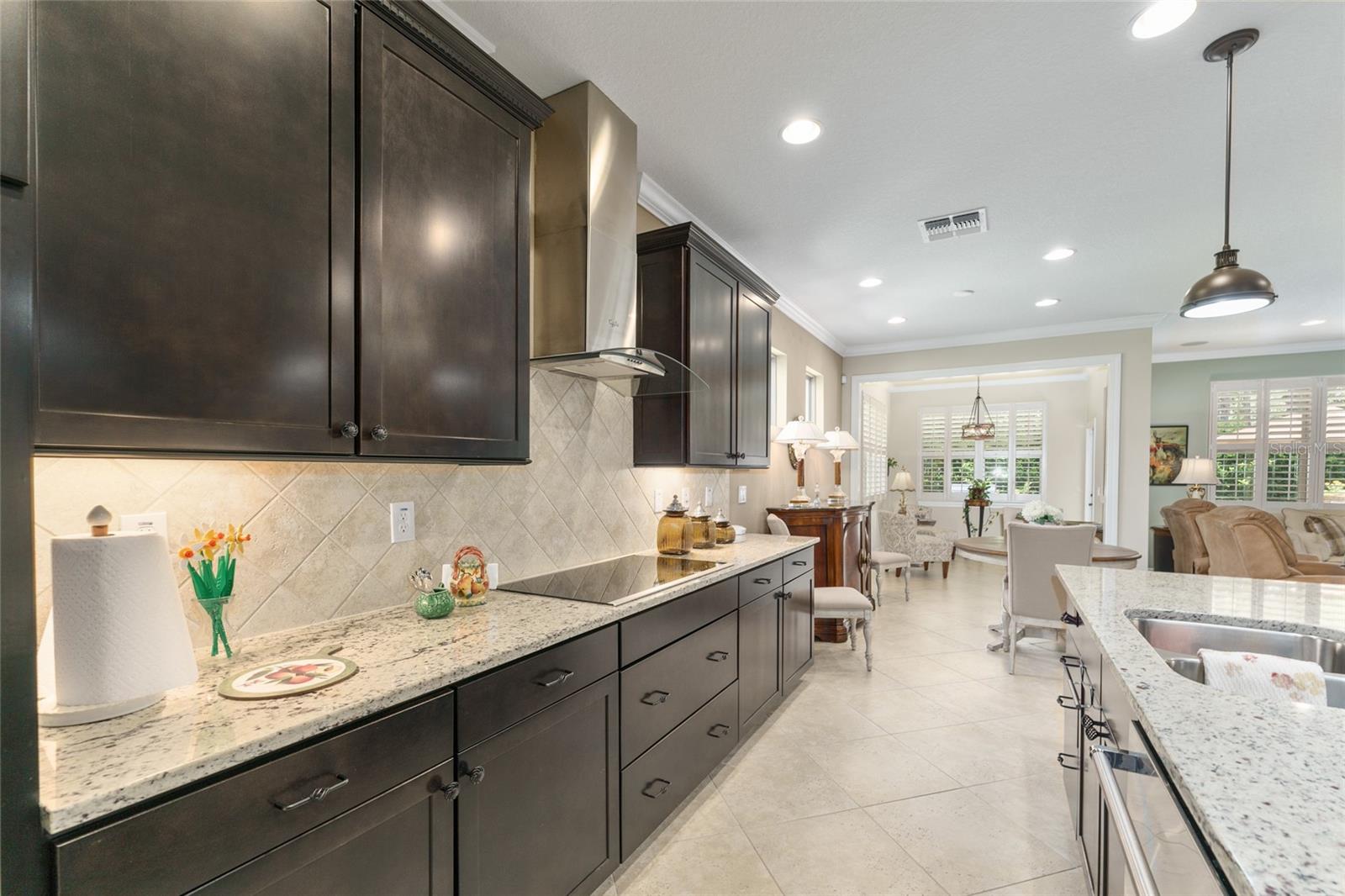 Single Family Residence at 9158 SW 65TH LOOP, OCALA, photo 20 of 82