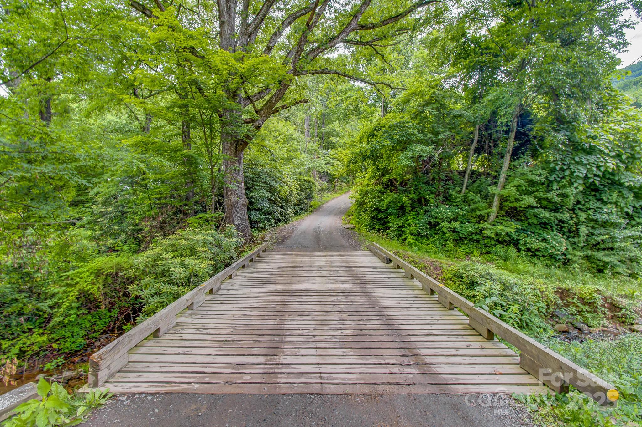 Acreage at 99999 Dark Cove Road, Leicester, photo 6 of 15