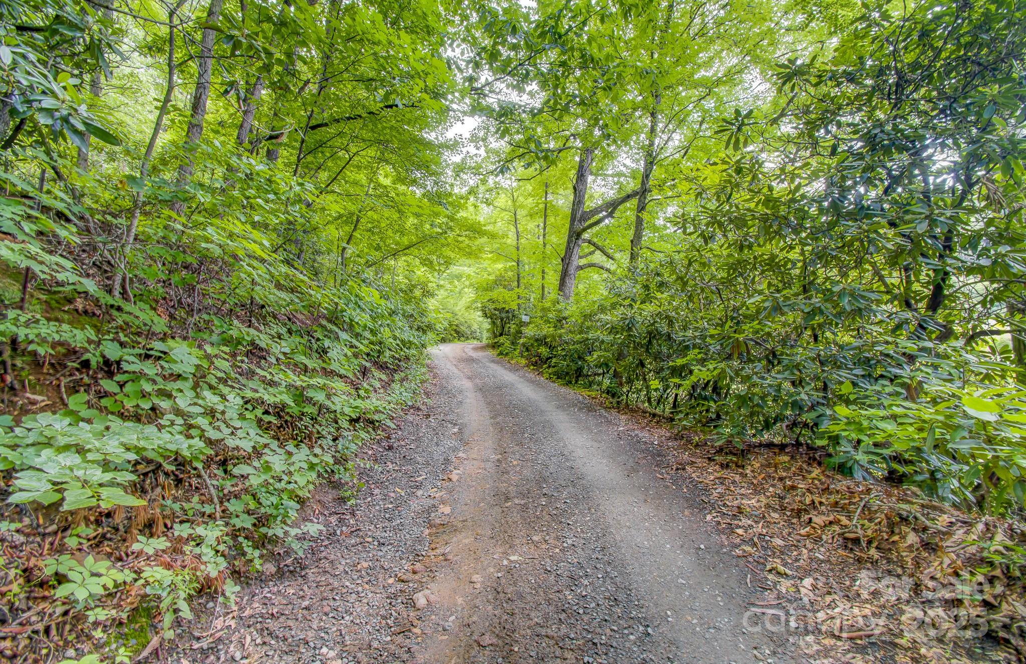 Acreage at 99999 Dark Cove Road, Leicester, photo 7 of 15