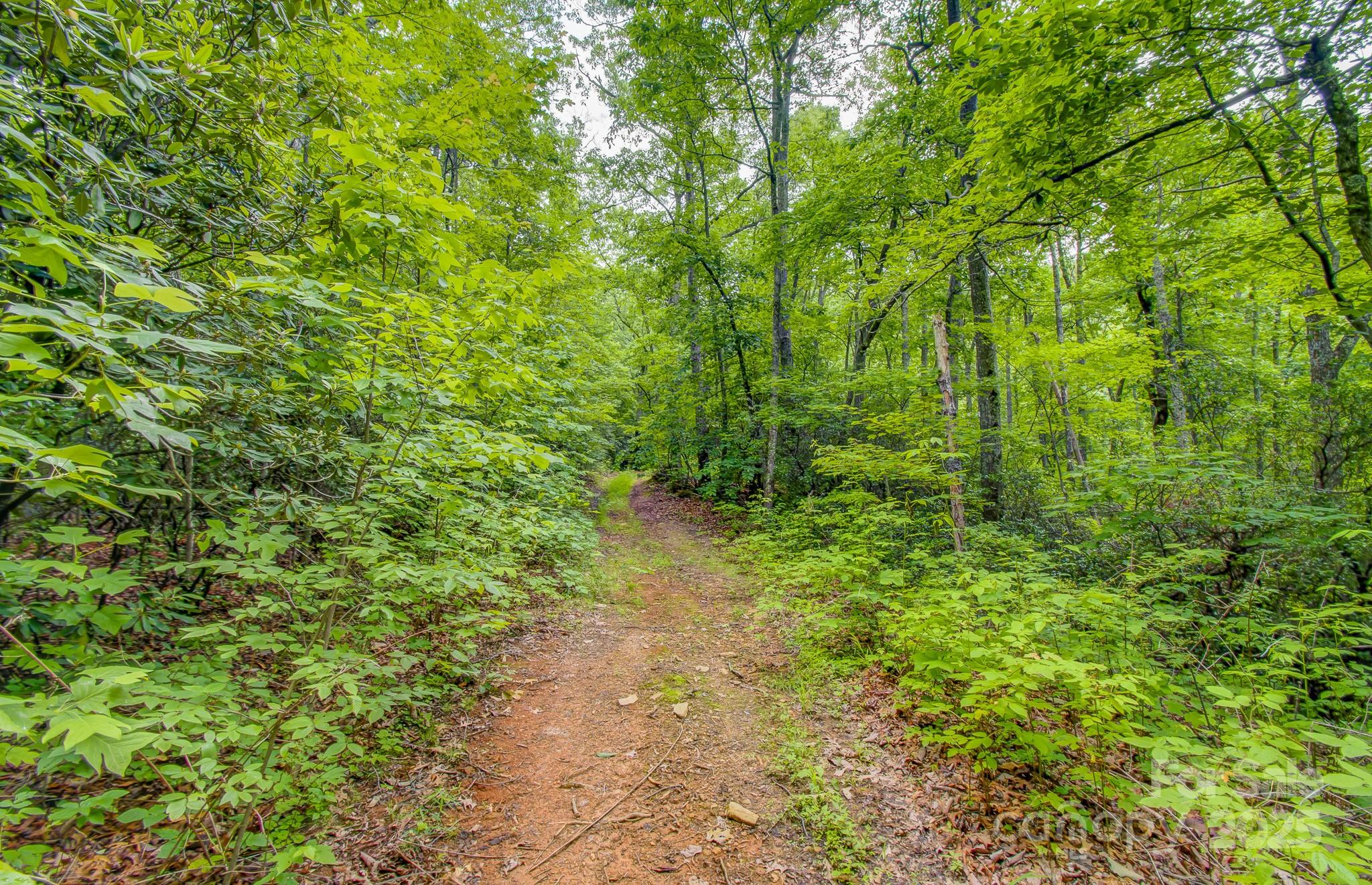 Acreage at 99999 Dark Cove Road, Leicester, photo 11 of 15