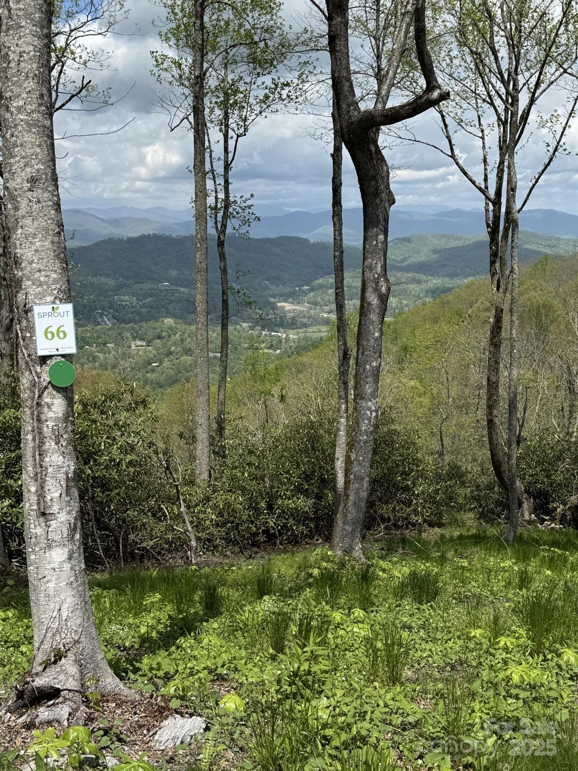 Lot at 0000 West Garden Trail, Hendersonville, photo 3 of 7