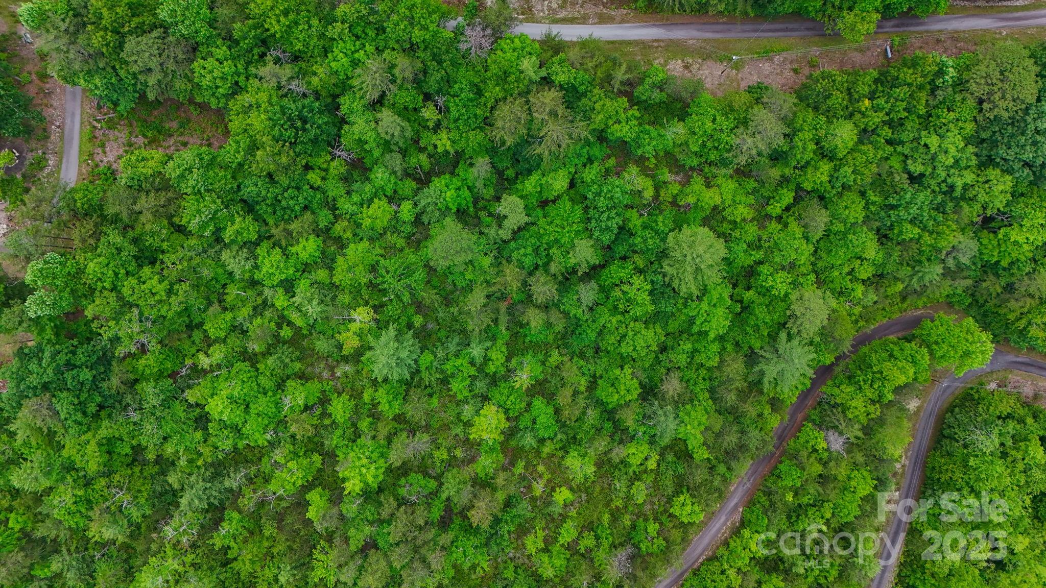Lot at 55 Chickasaw Way, Marion, photo 5 of 13