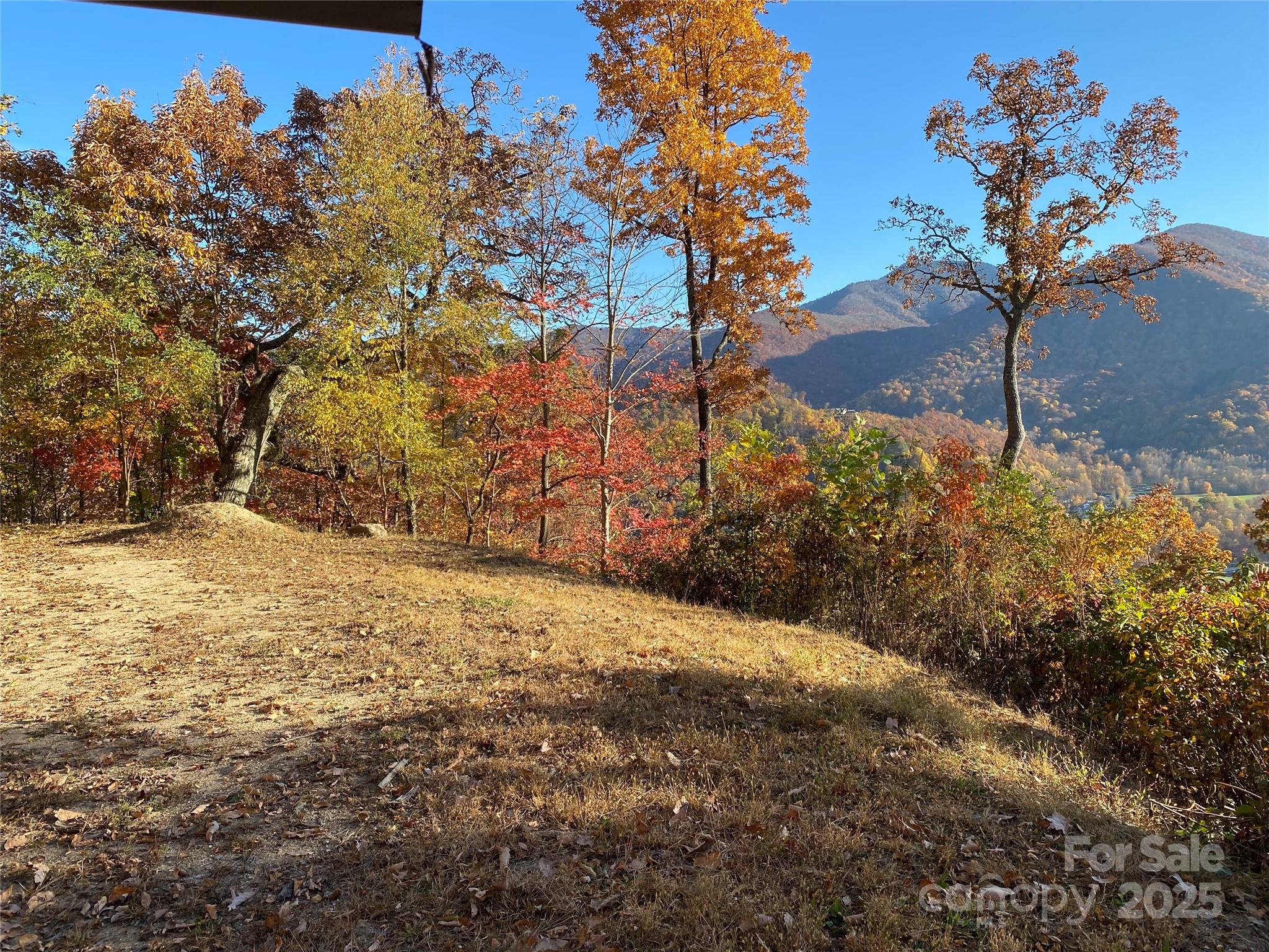 VIEWS - 40 Cougar Lane, Maggie Valley