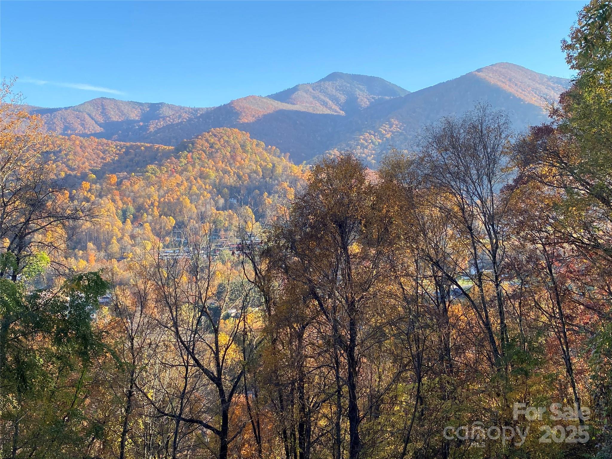 Lot at 40 Cougar Lane, Maggie Valley, photo 4 of 39