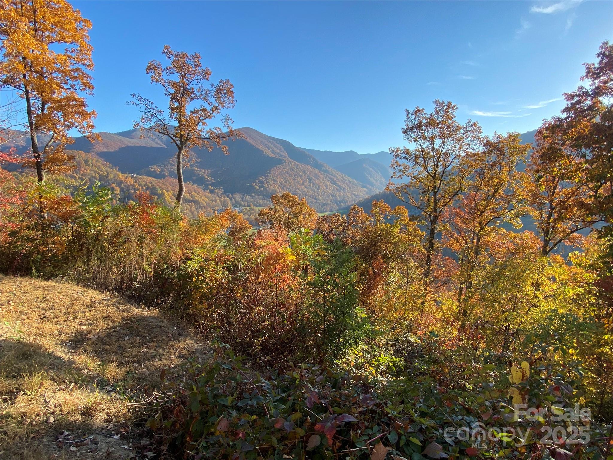 Lot at 40 Cougar Lane, Maggie Valley, photo 7 of 39
