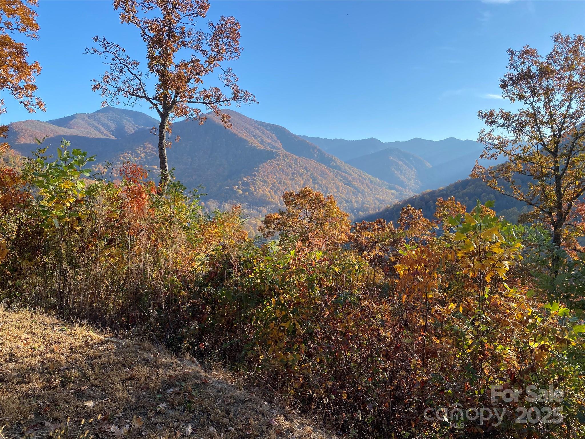 Lot at 40 Cougar Lane, Maggie Valley, photo 18 of 39