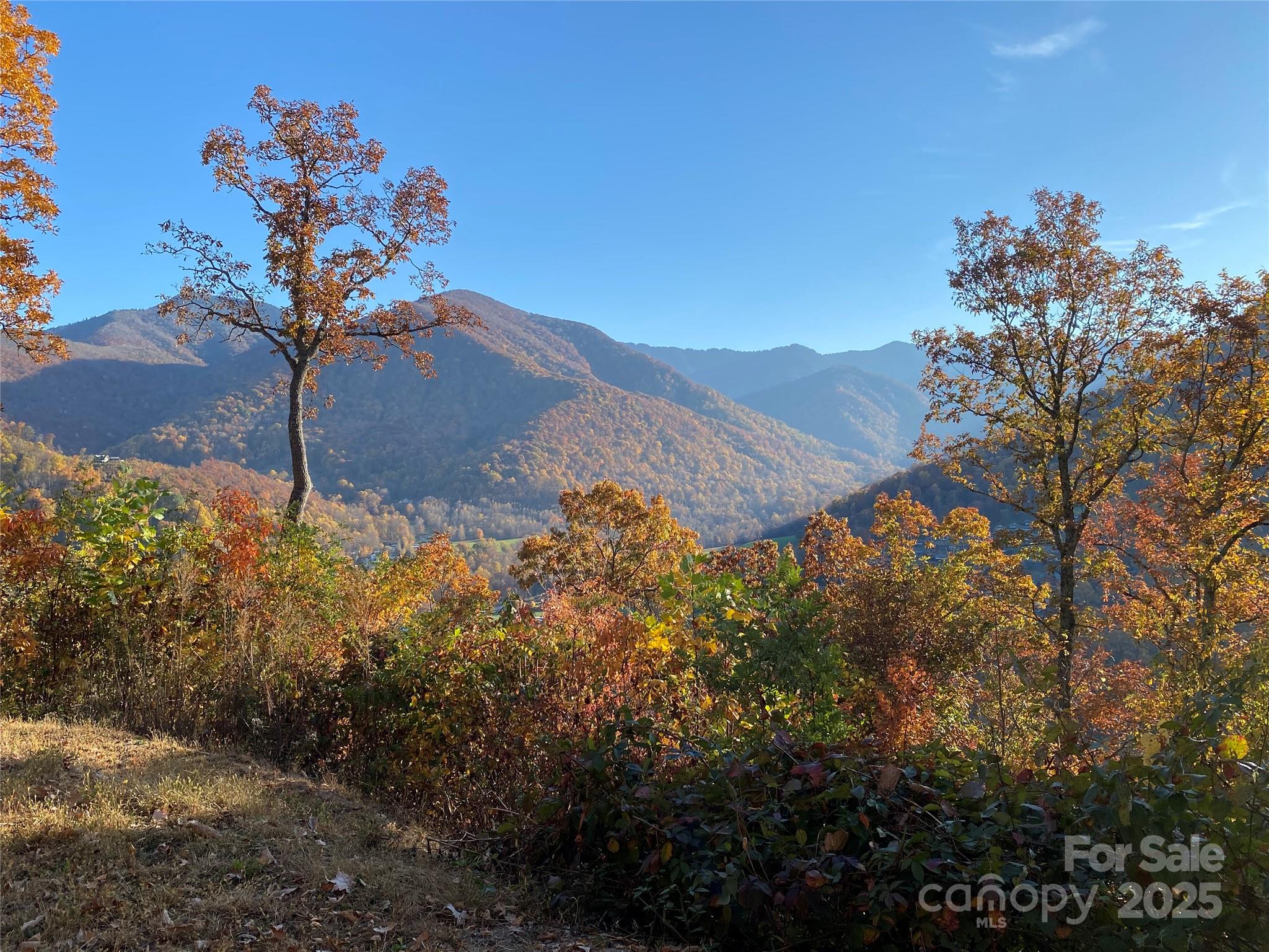 Lot at 40 Cougar Lane, Maggie Valley, photo 19 of 39